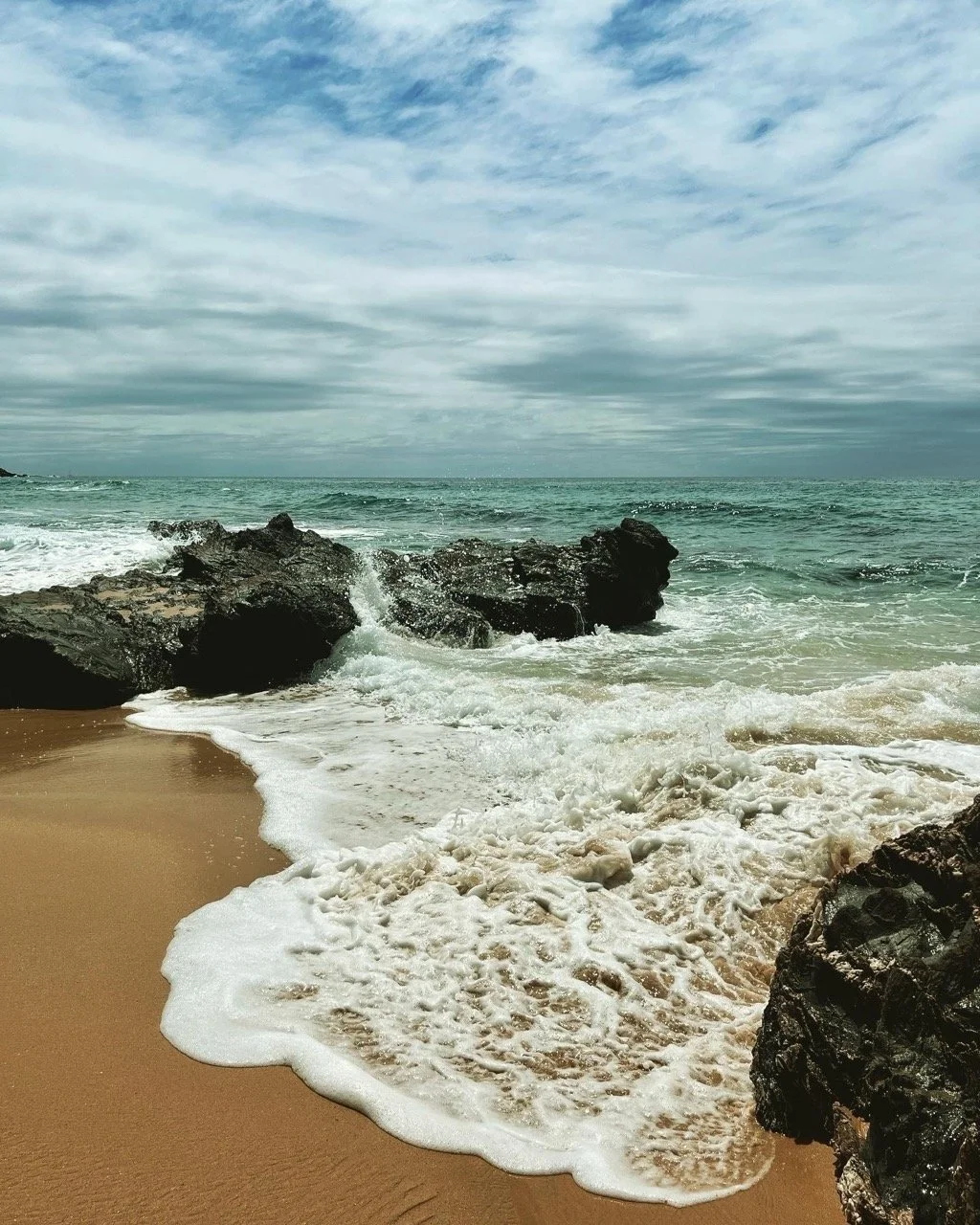 80DFA552-A6C9-4D6C-A7DA-B9C576429AF2 Large.jpeg