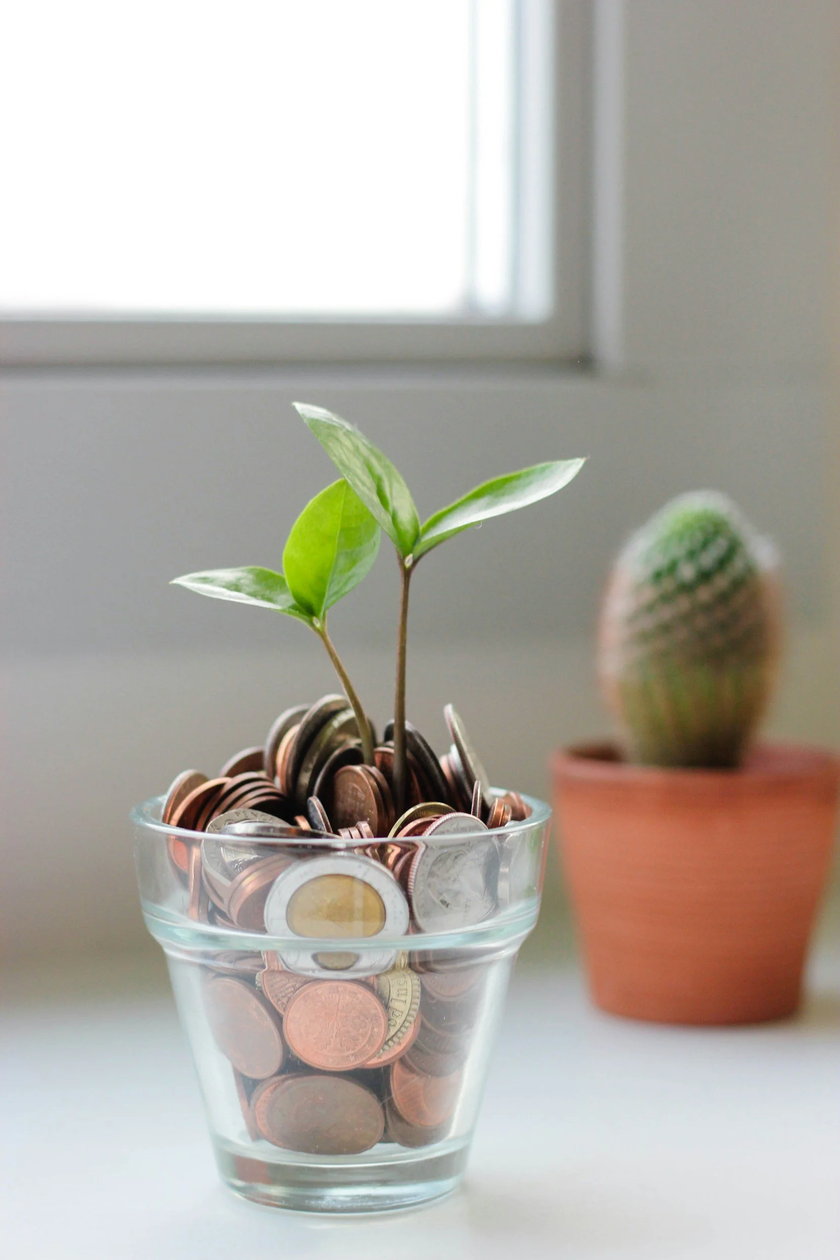 Creating a Healthier Relationship with Money: A Conversation with Bernadette Reynolds