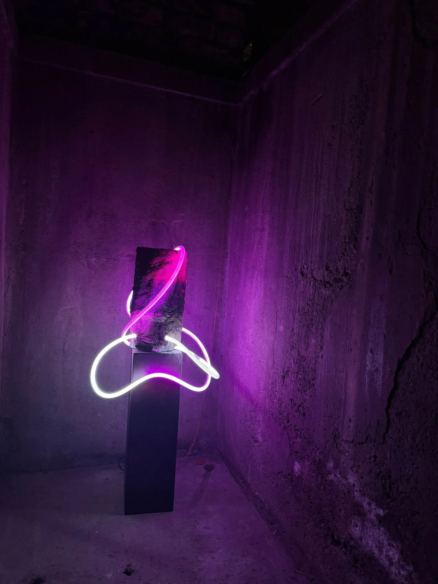 WHO? 30 × 70 – ca. 100 kg