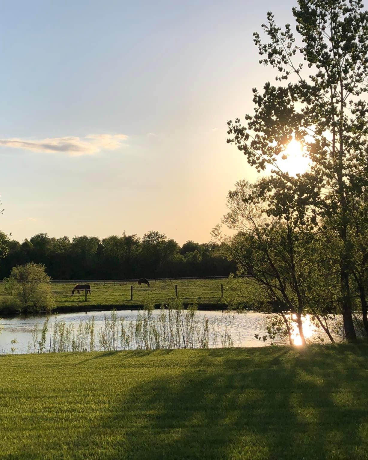 pond+facing+horse+pasture.jpg