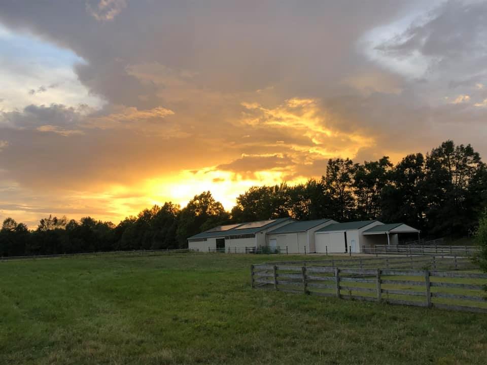 pasture facing barns.jpg