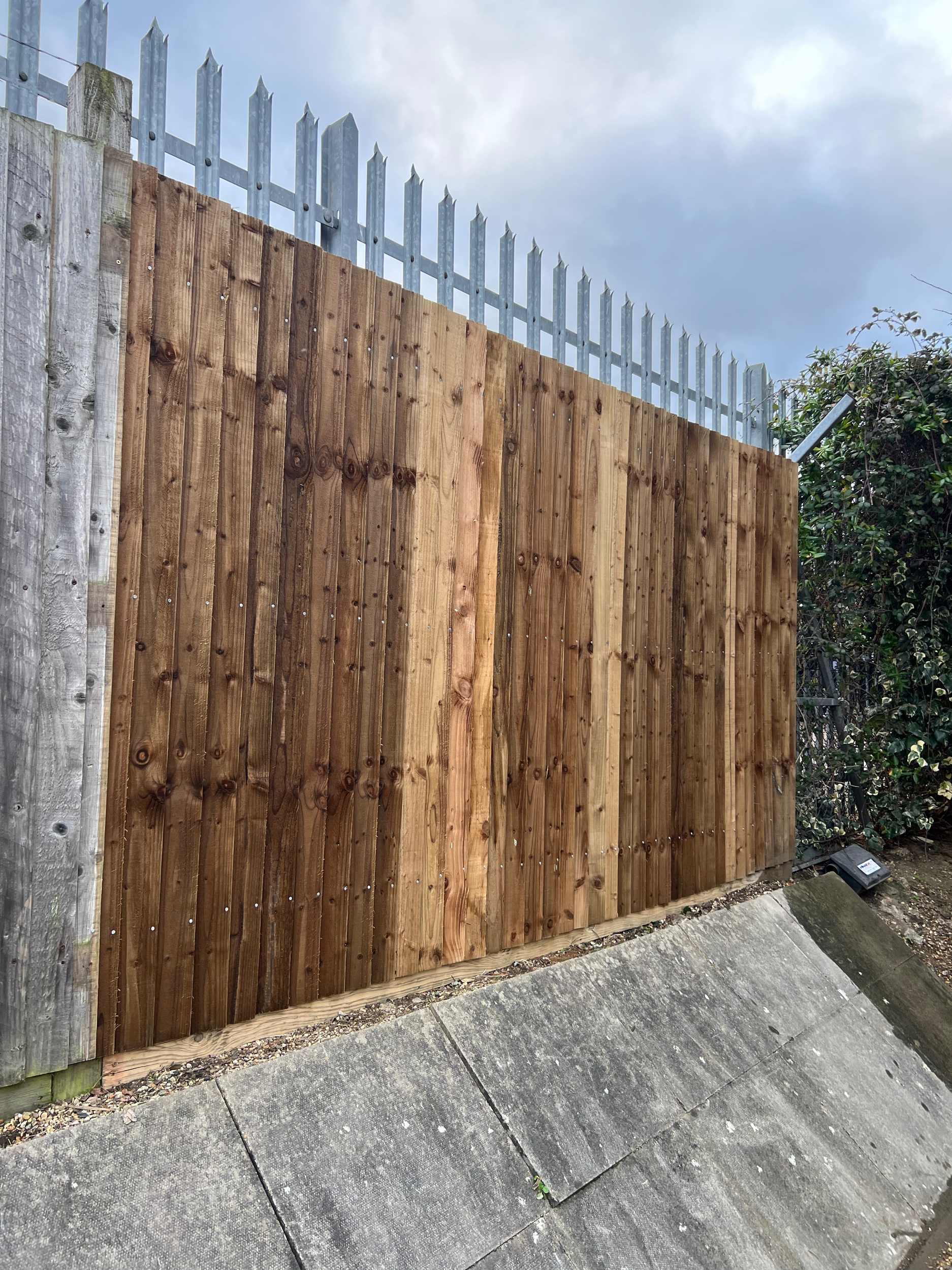 Feathers edge fencing, Epsom