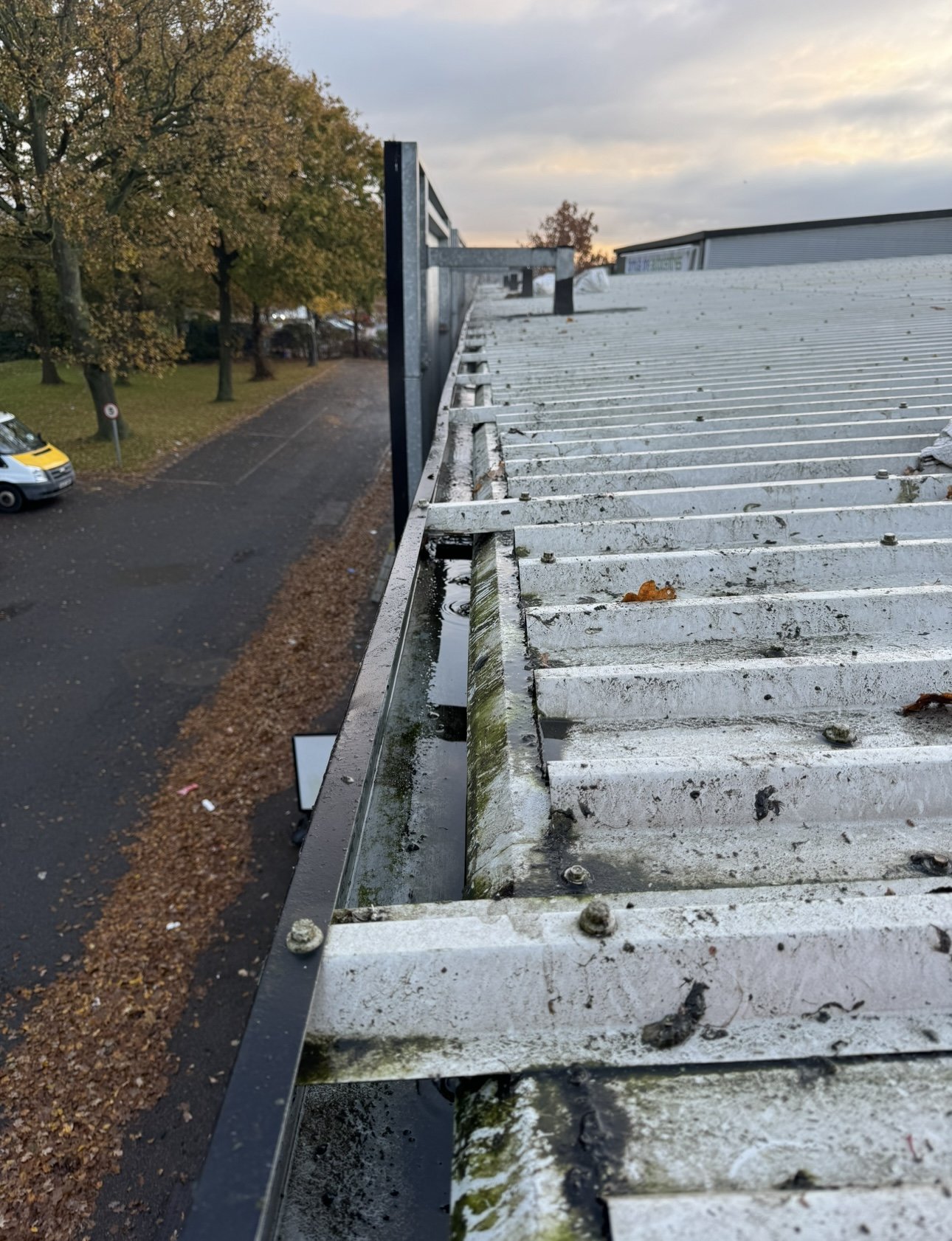 Gutter cleaning, St Albans