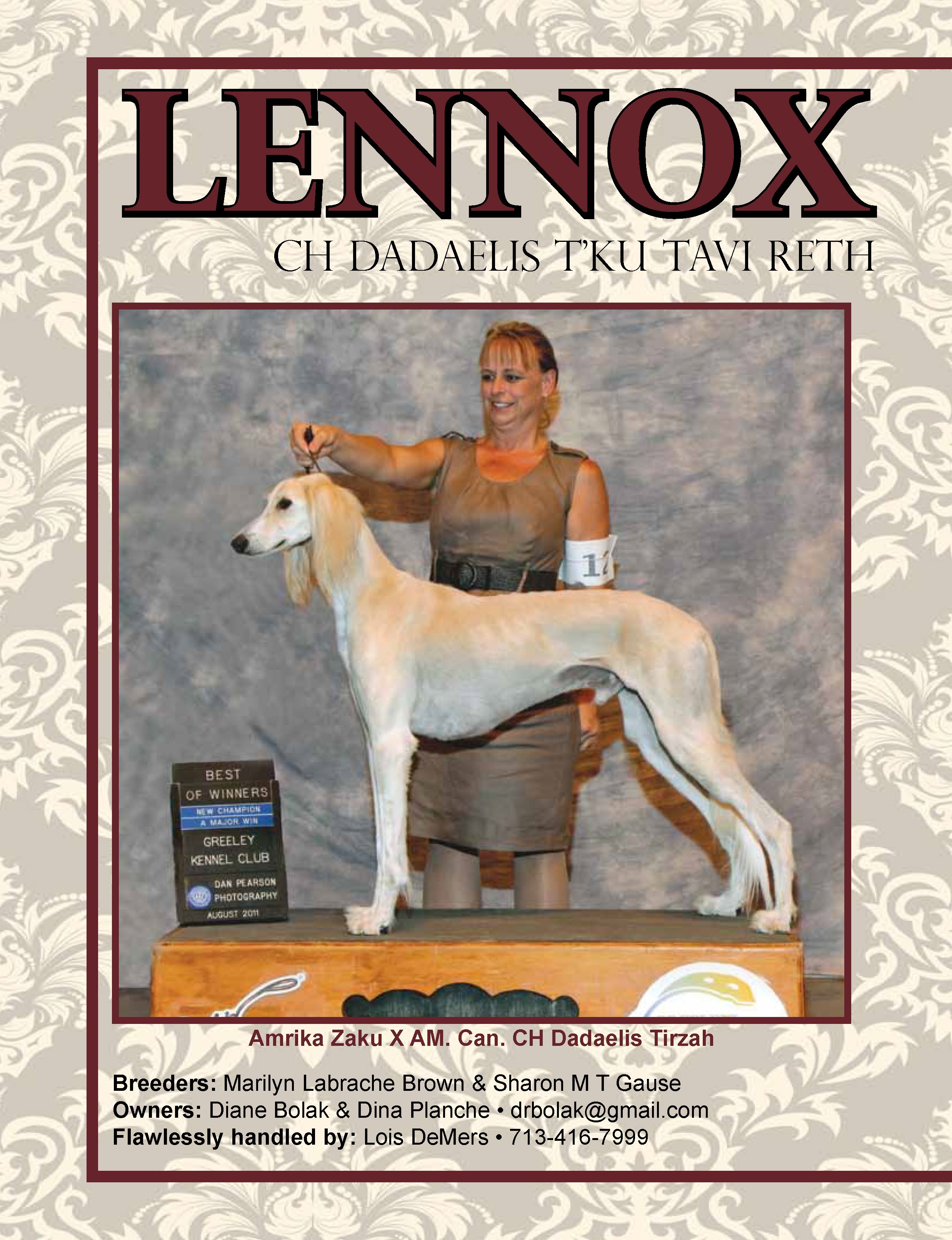 Advertisement for a dog show publication
