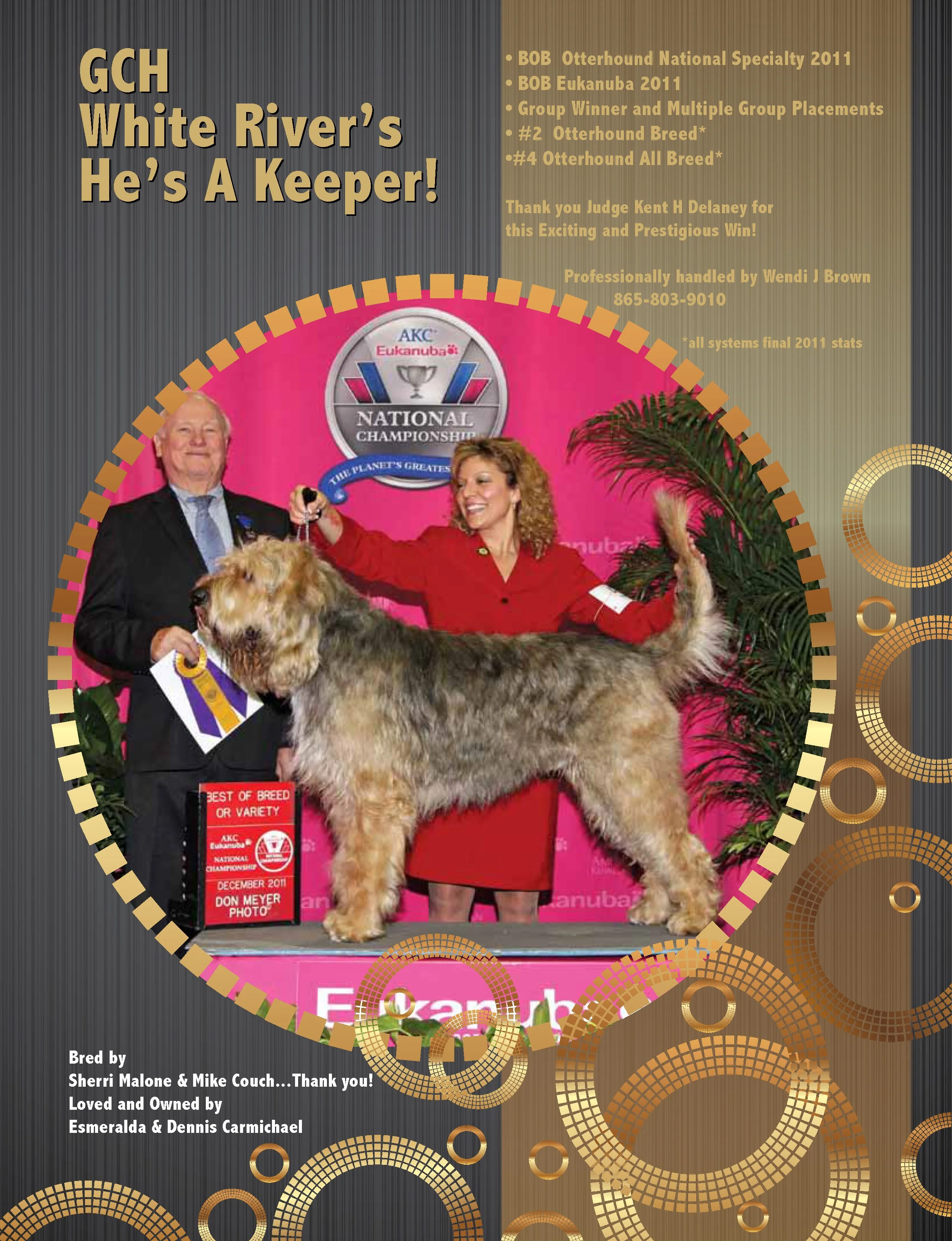 Advertisement for a dog show publication