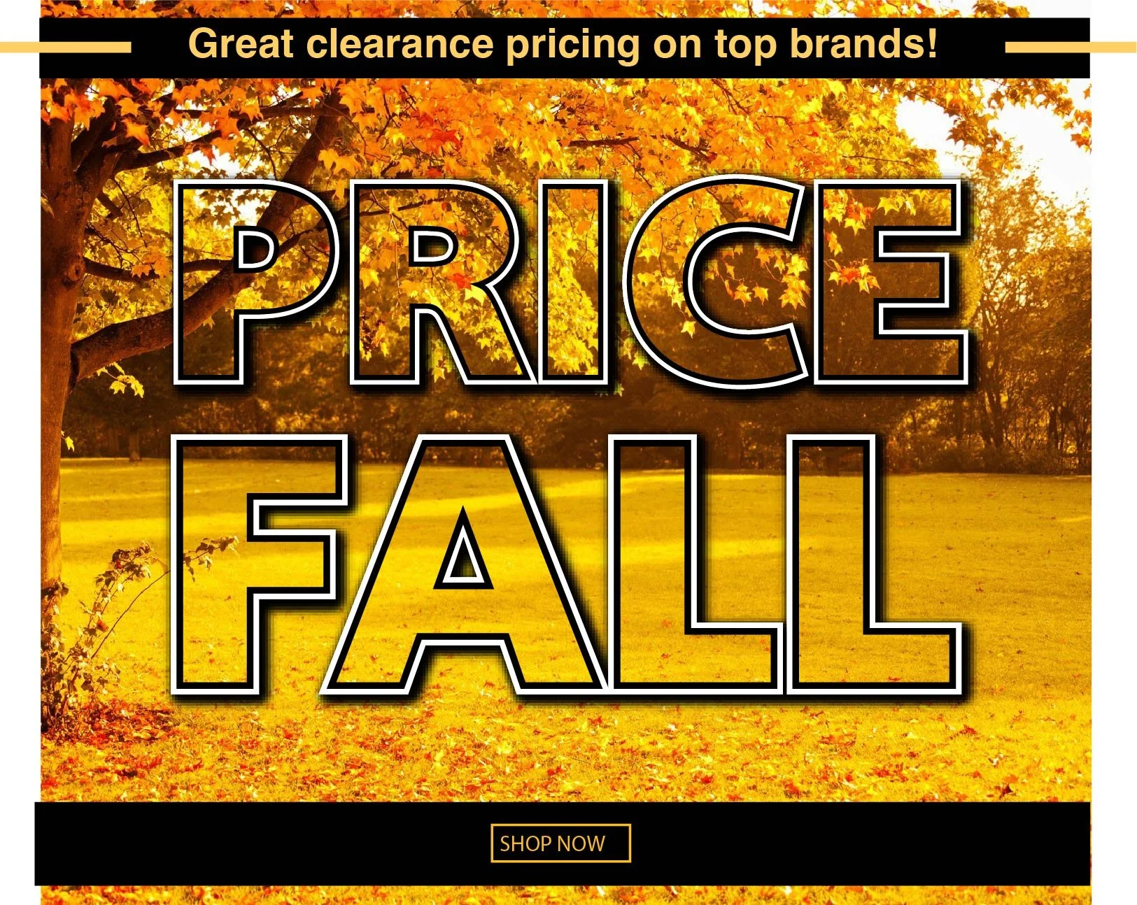 Digital: Email graphic