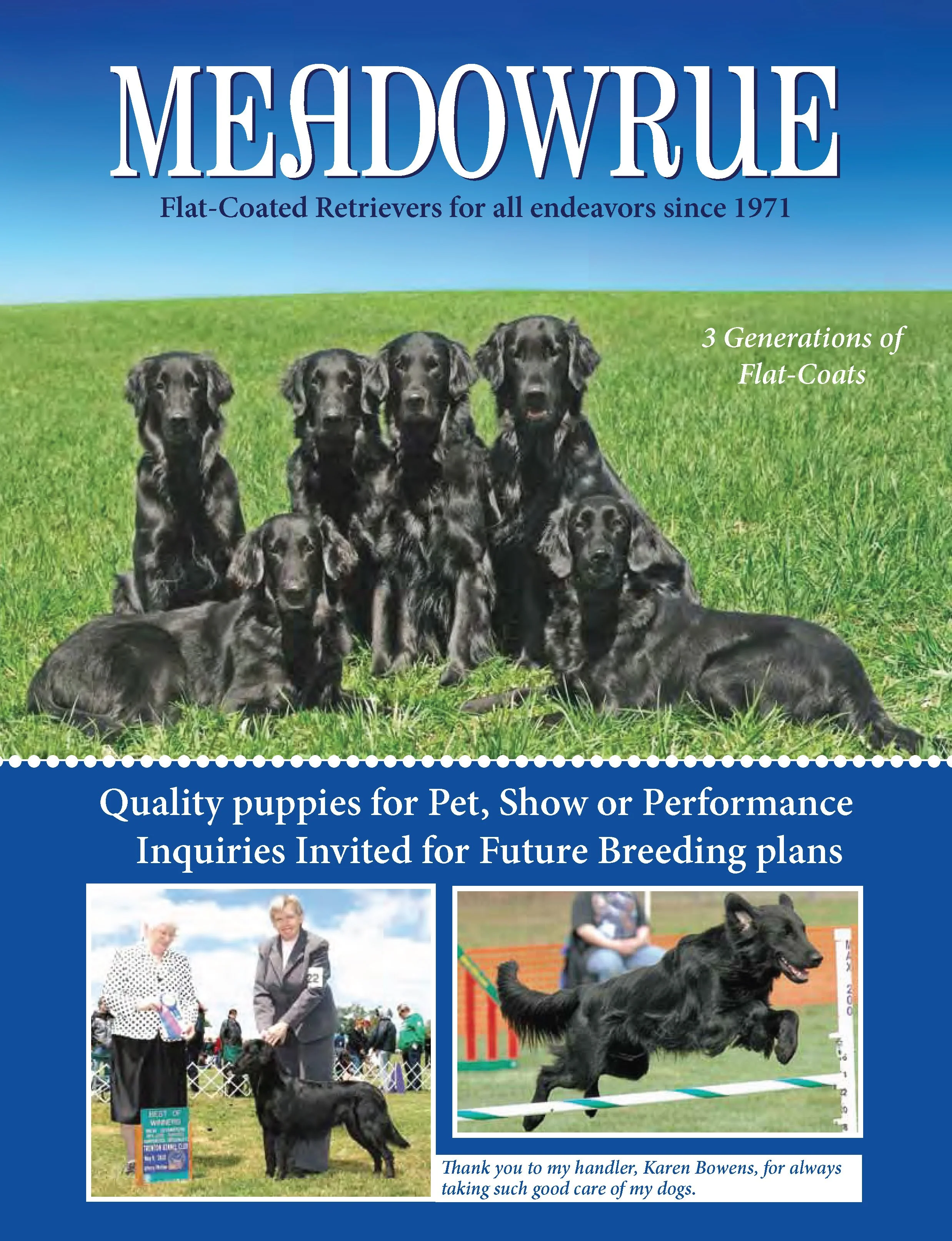 Advertisement for a dog show publication