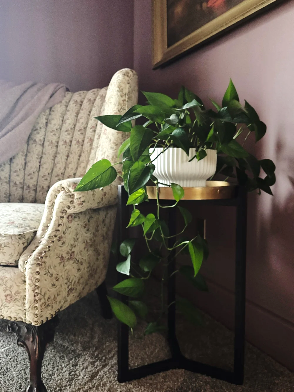 Vintage floral armchair beside a small black-and-brass table with a trailing pothos plant against mauve walls.