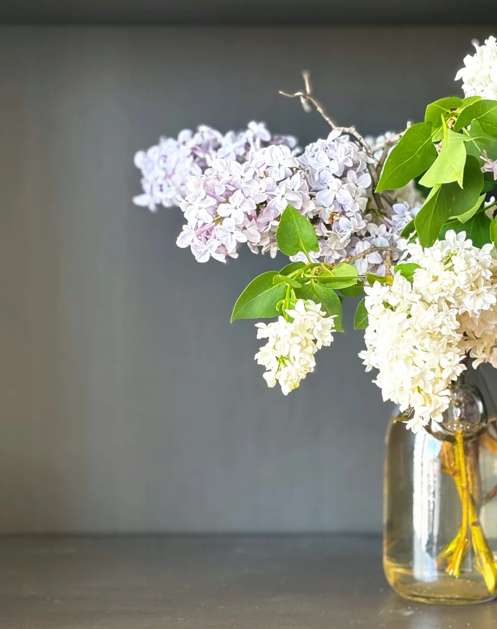 Purple and white lilacs arranged in a clear glass vase against a muted blue-gray wall.
