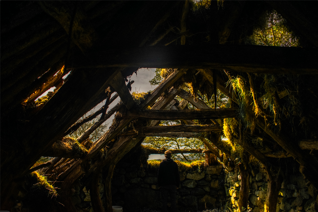 Screen Shot 2025-03-24 at 12.07.19 AM.png