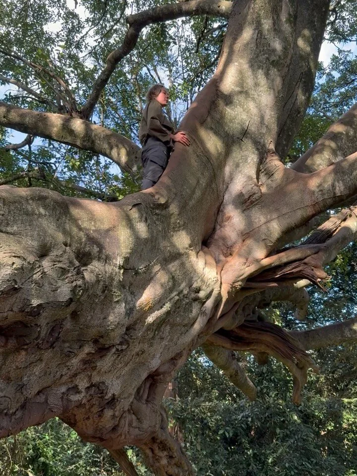 Travel Diary Kenya pt I. 
In an English bookshop in rural France, Kuki Gallmann&rsquo;s memoir &bdquo;I dreamed of Africa&ldquo; fell into my hands. Back in the 70&rsquo;s, Kuki and her partner Paolo acquired 88,000 acres of land in Laikipia, Kenya, 