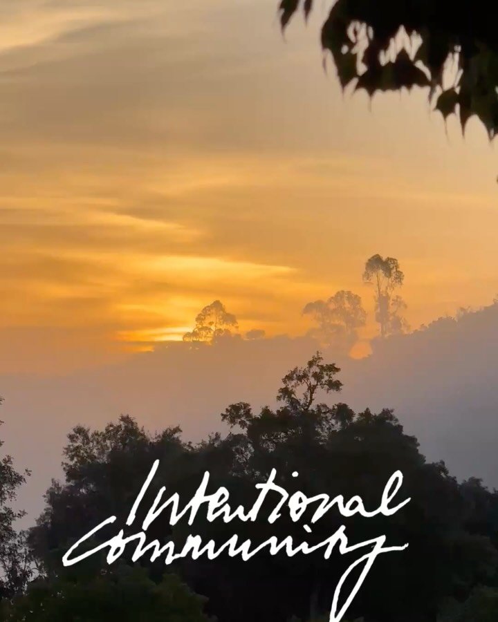 During all those years of meandering around, uprooting time and again, seeking ways of less-alienated living, finding myself in more or less remote places, mourning social underresourcing, I dreamt of living in community. Intentional community.

Insi