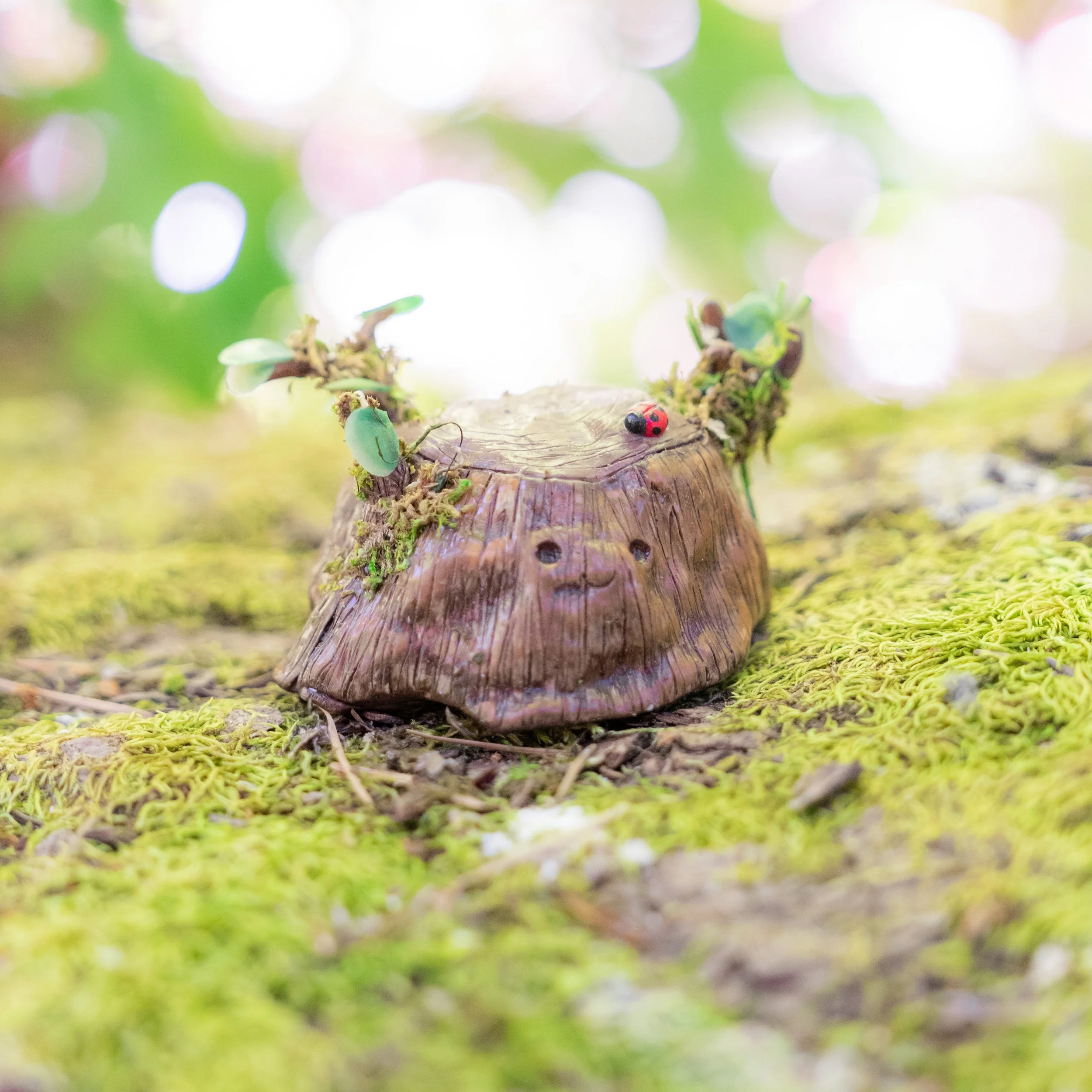 fairy pictures-24.JPG