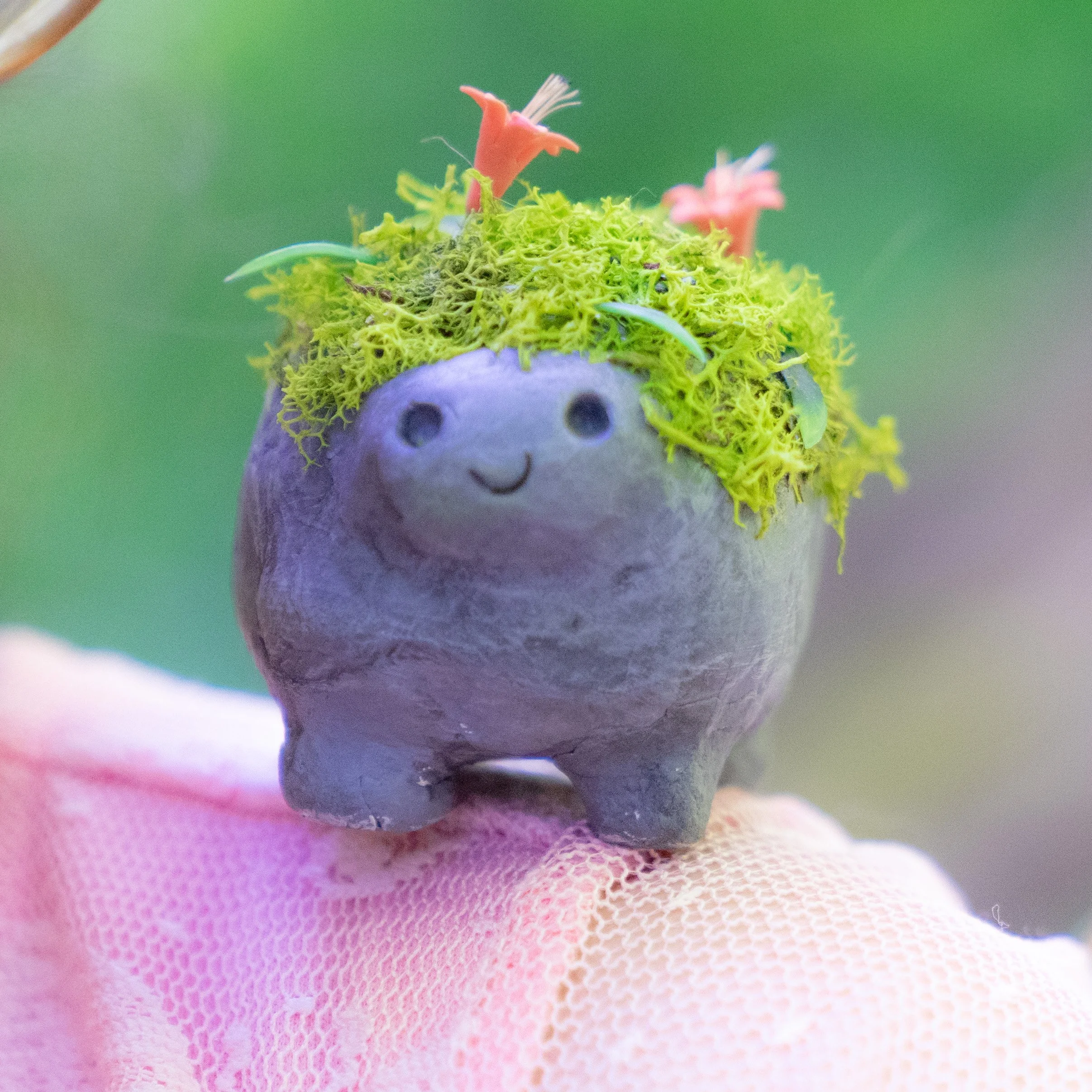 fairy pictures-03.JPG