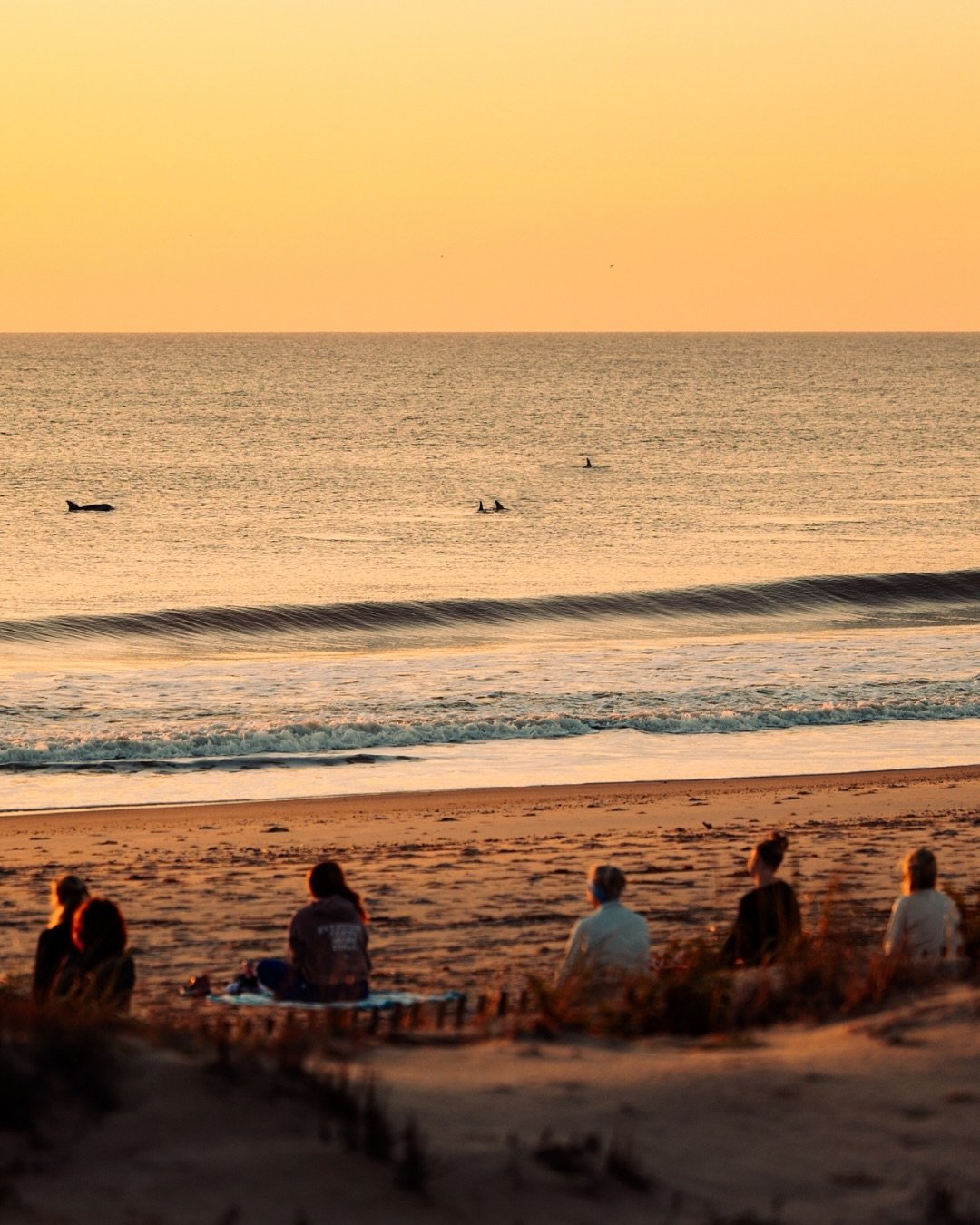 When your retreat house has an ocean view, it&rsquo;s a little easier to get up for sunrise 😍🌅 

Gentle movement, breathwork, and meditation to start your day. Plenty of time after to go for a walk, jump in the ocean, and do anything you need befor