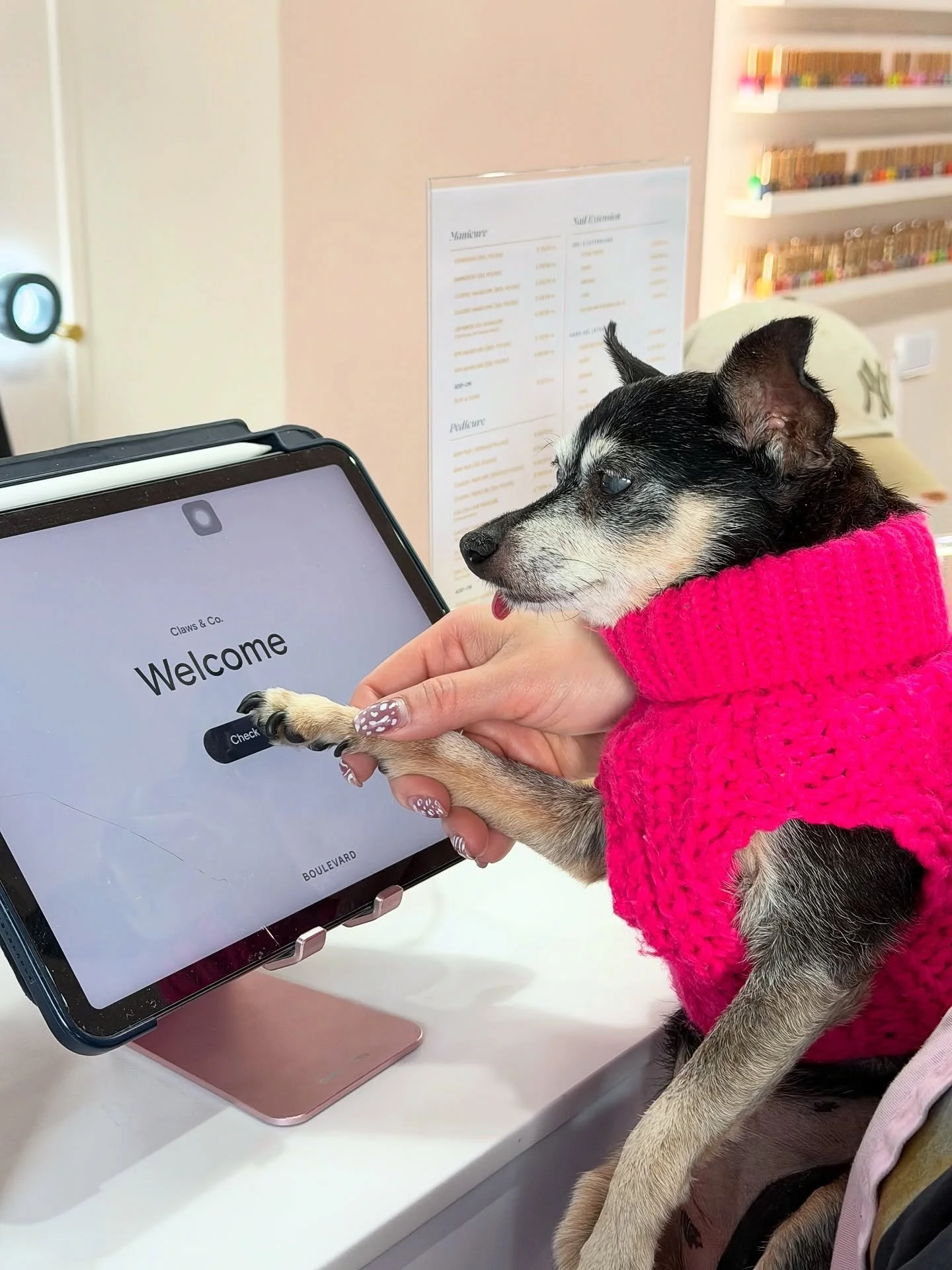 To our lovely clients 🤍
Please kindly check in upon arrival. (Note from Sparta, our manager 🐶🐾)