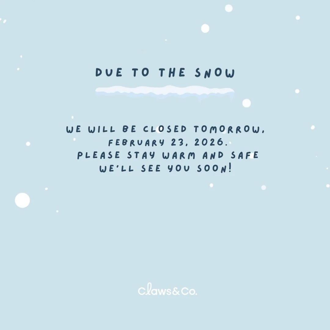Due to the snow

we will be closed tomorrow, 
February 23, 2026.
Please stay warm and safe
we&rsquo;ll see you soon! 

#clawsandco