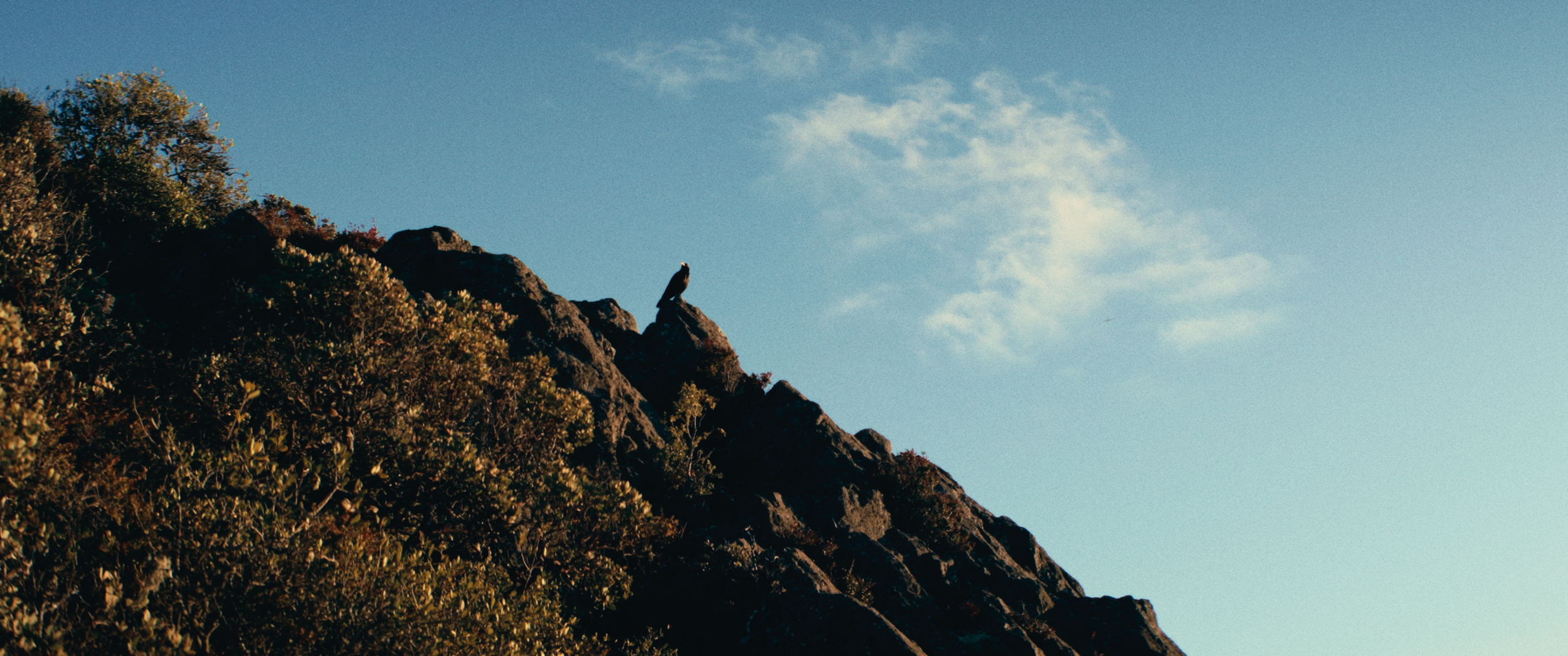 Final StillsSF_1.38.1.png