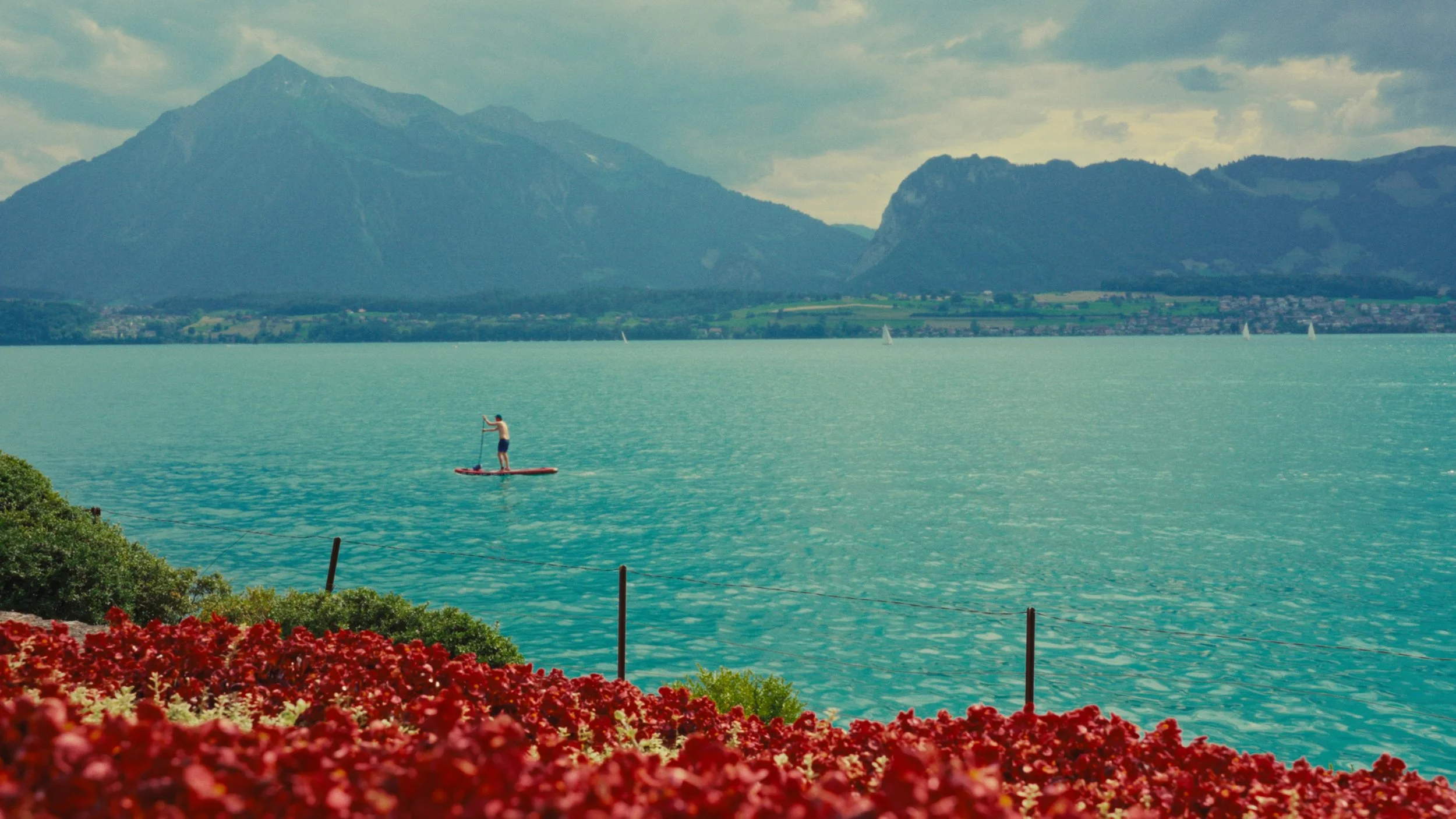 Still 2025-02-23 113120_1.333.1.png