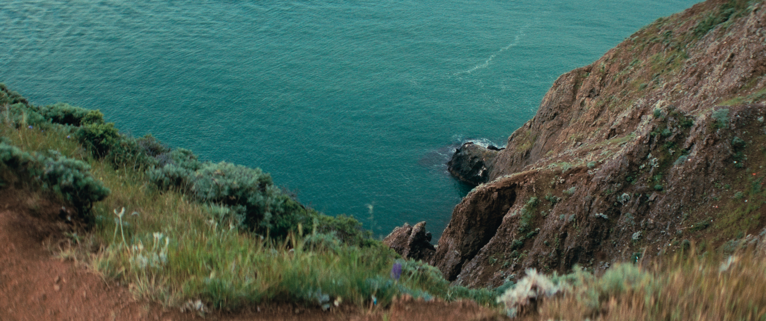 Final StillsSF_1.23.1.png