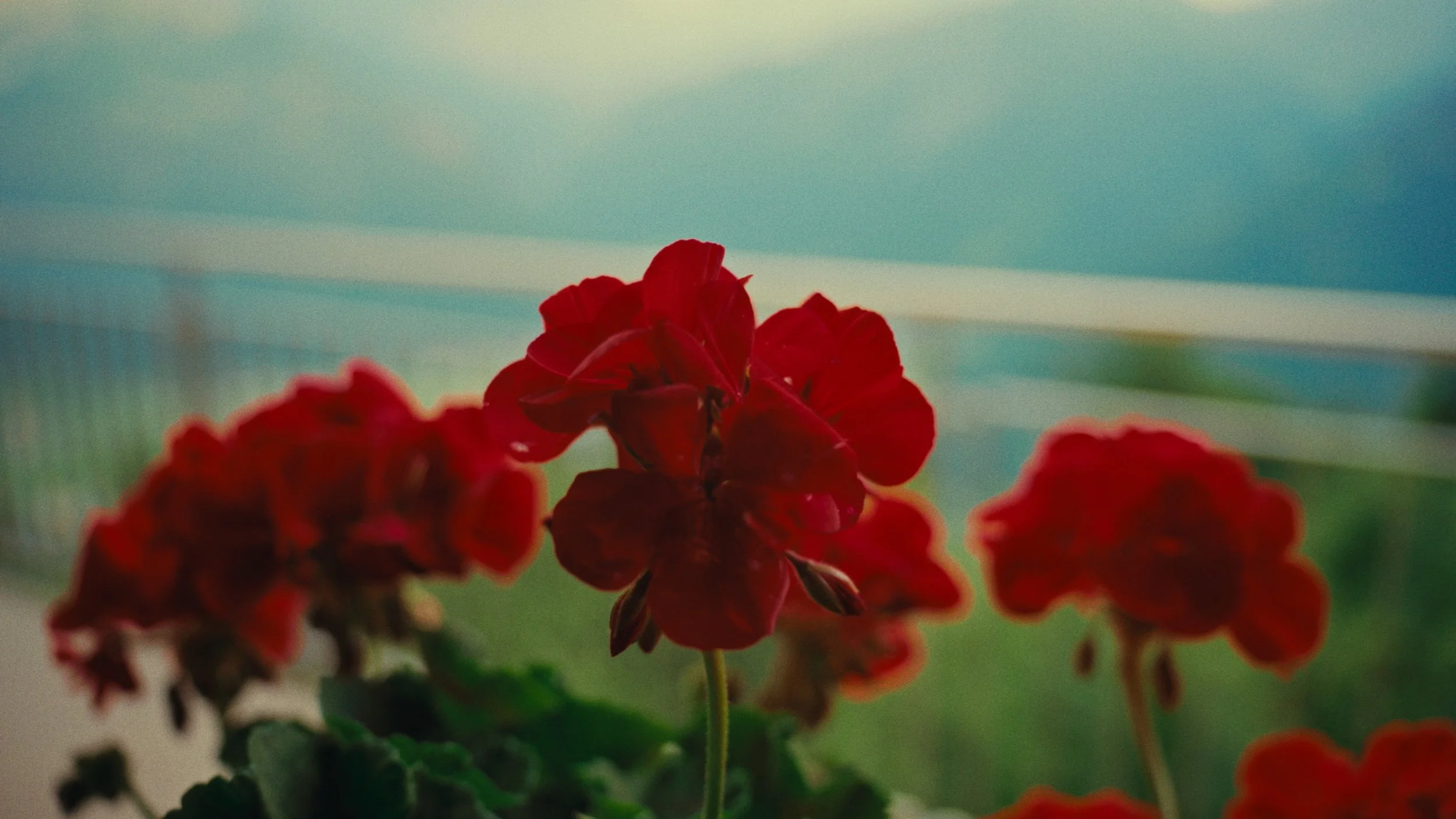 Still 2025-02-23 113120_1.359.1.png