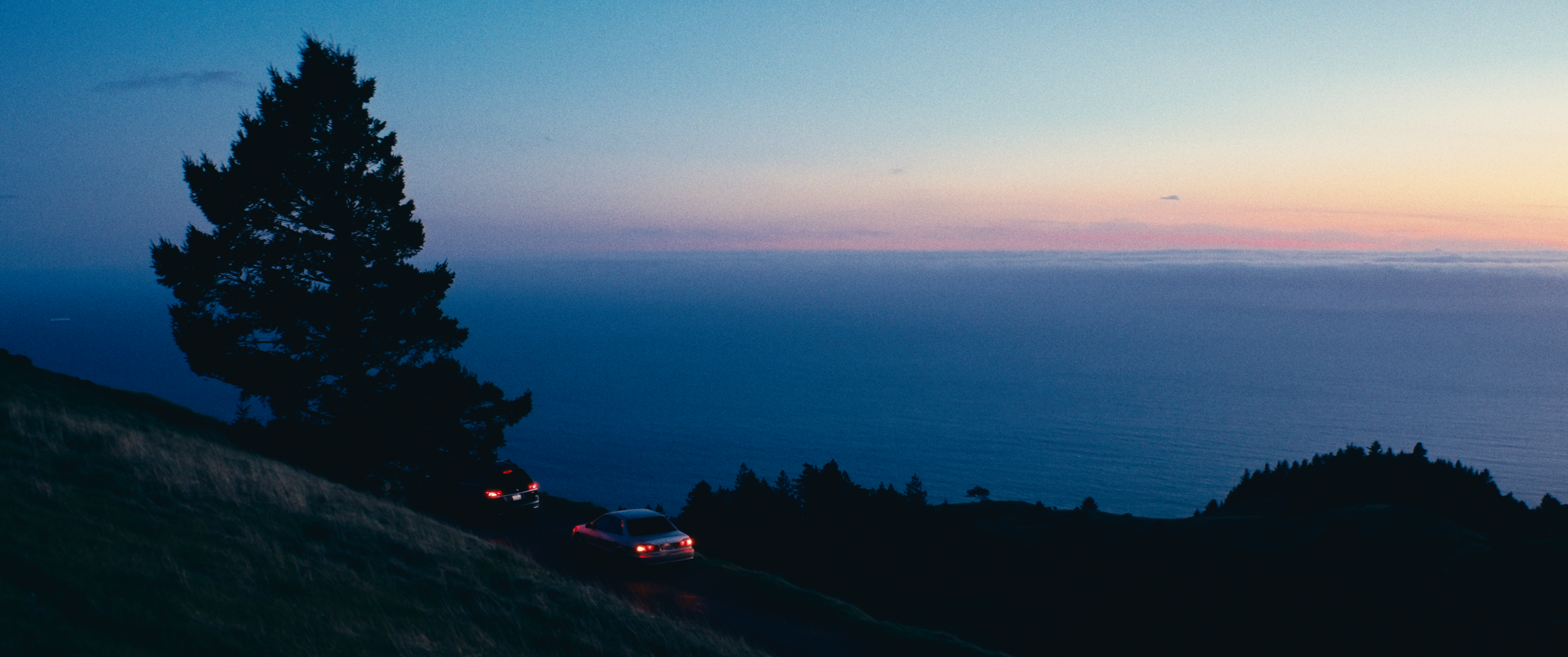 Final StillsSF_1.42.1.png