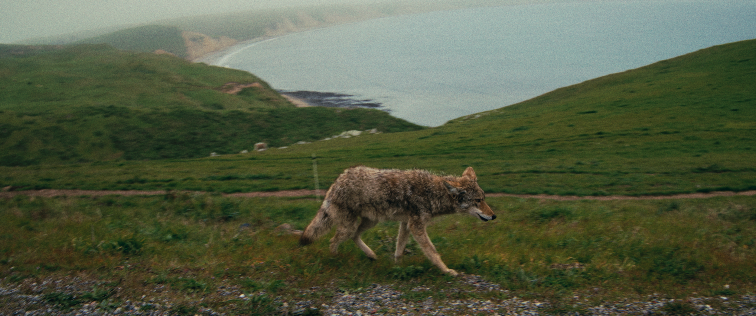 Final StillsSF_1.32.1.png