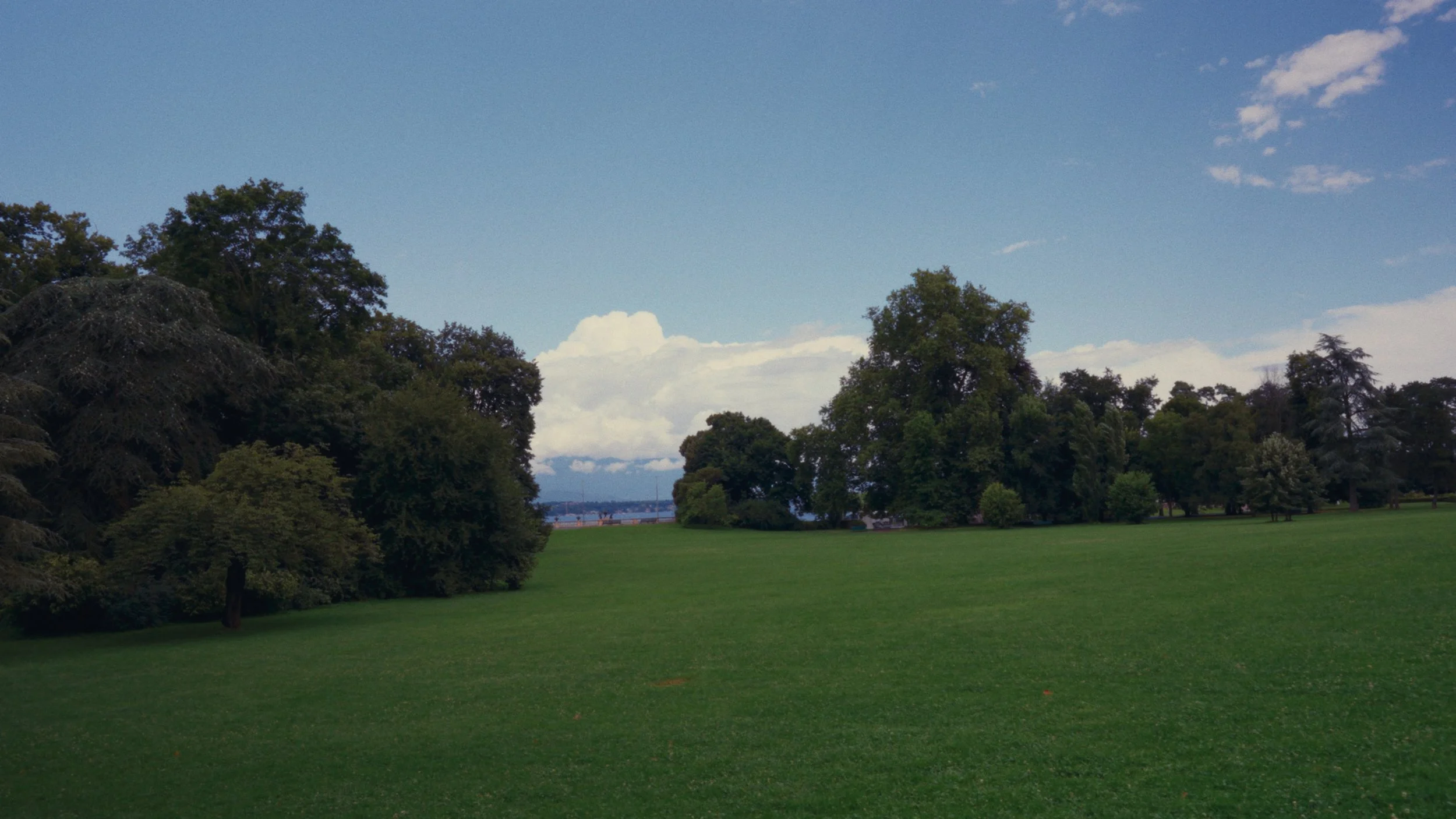 Still 2025-02-23 113120_1.14.1.png