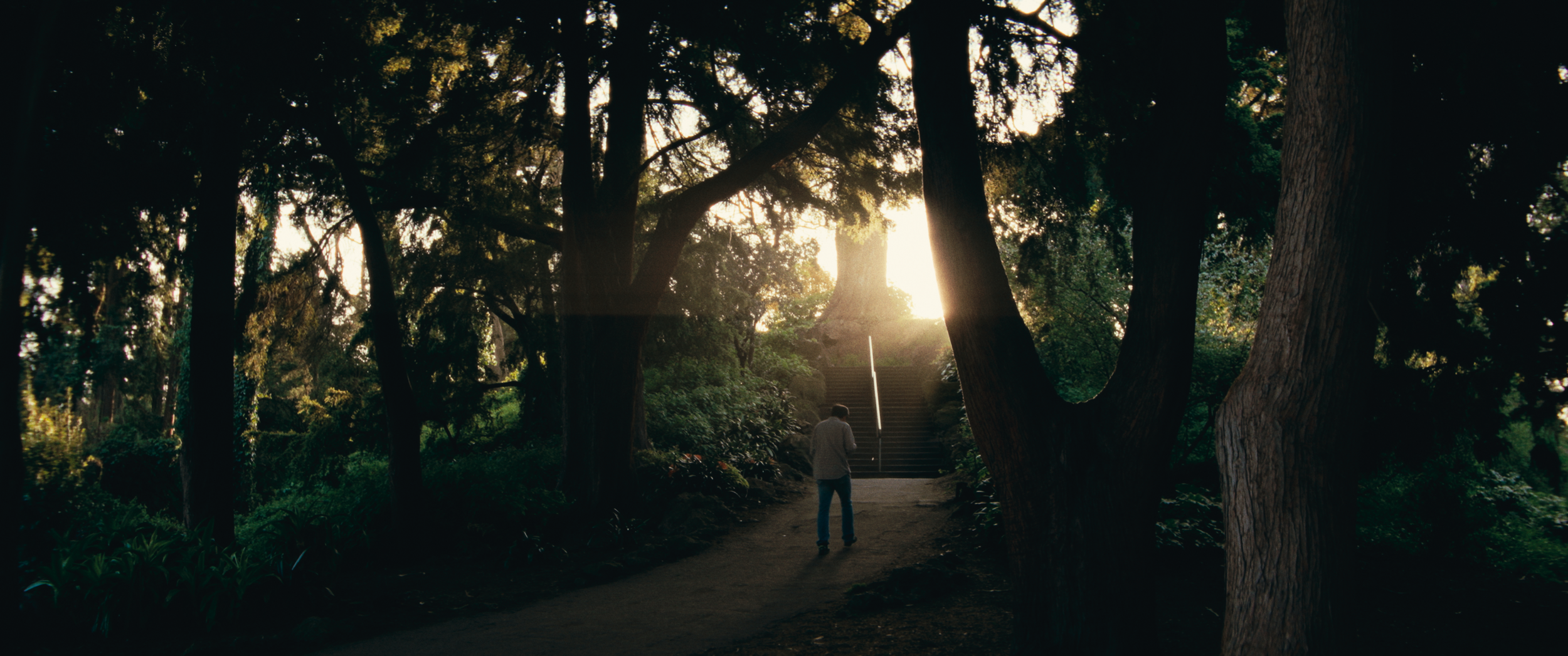 Final StillsSF_1.6.1.png