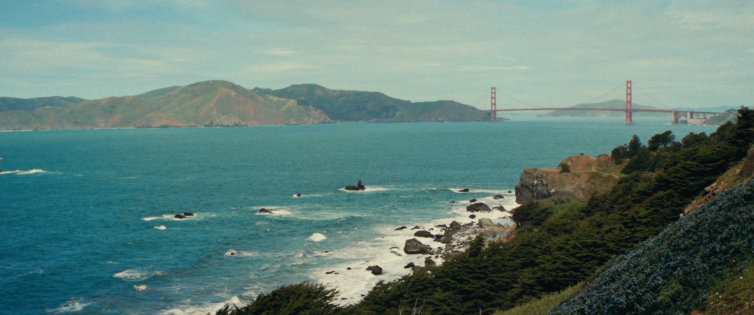 Final StillsSF_1.31.1.png