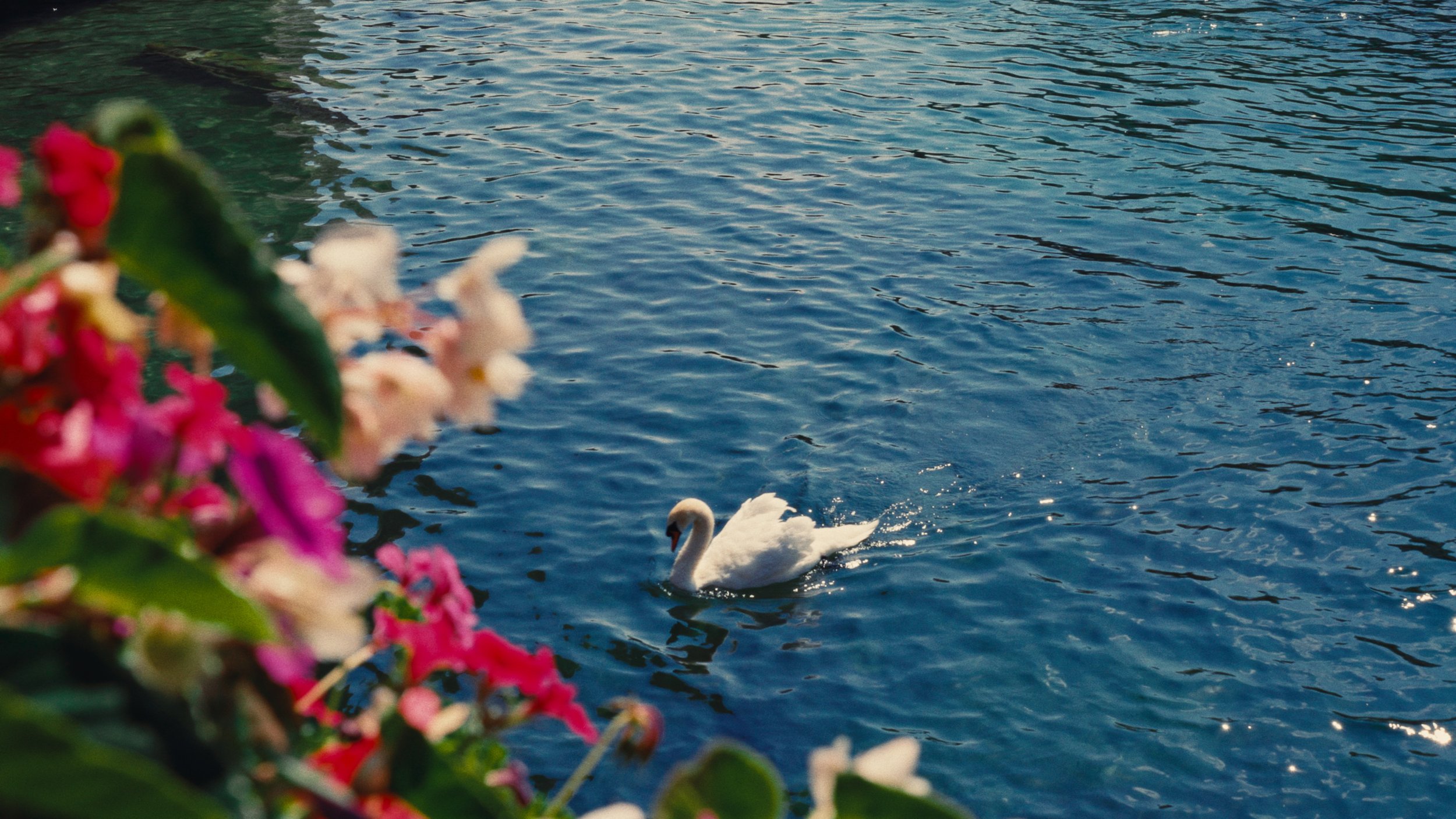 Still 2025-02-23 113120_1.377.1.png