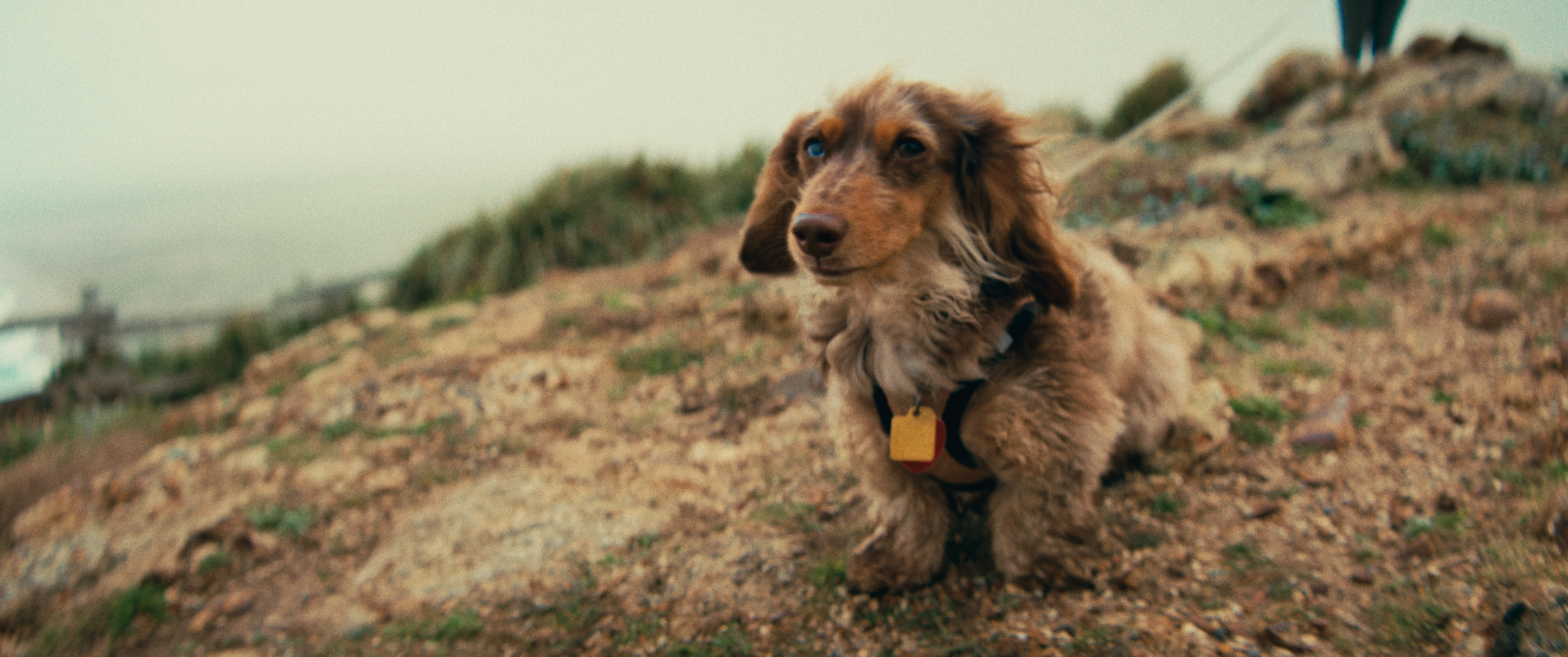 Final StillsSF_1.27.1.png