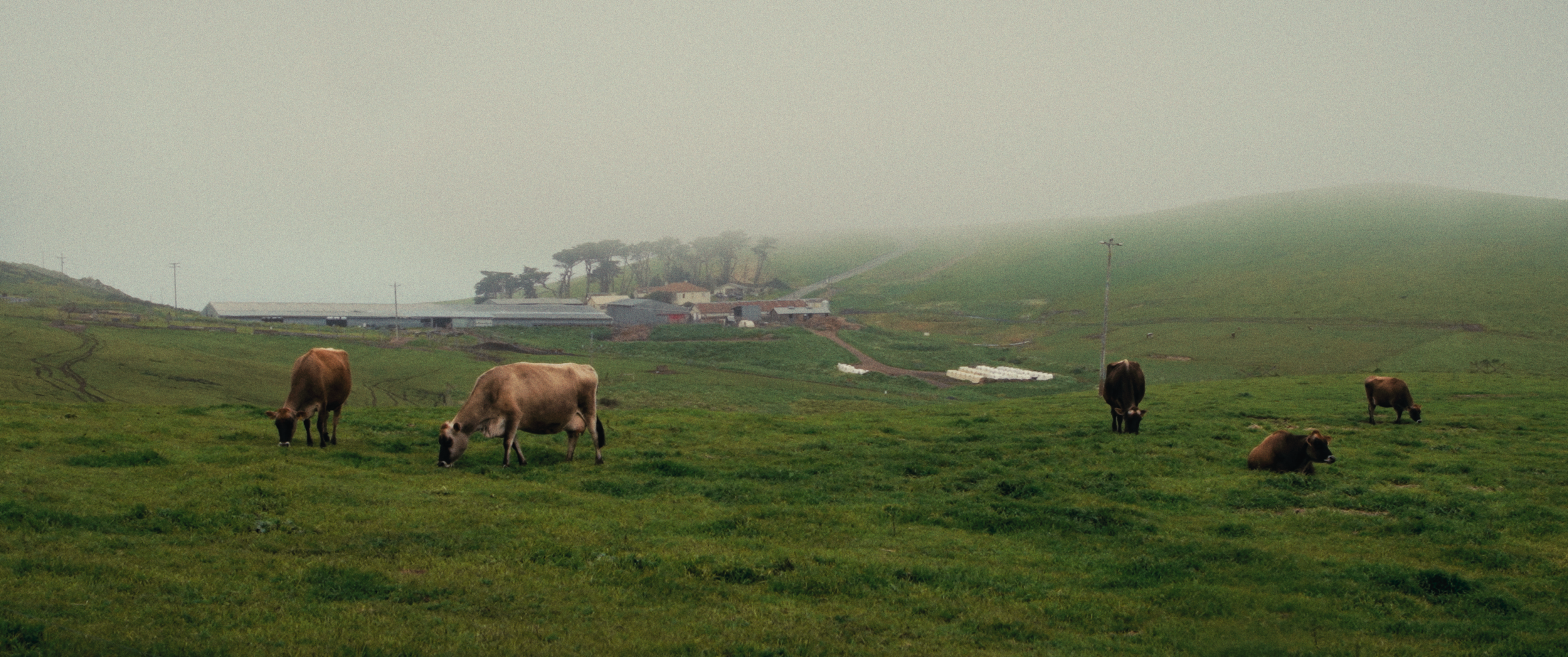 Final StillsSF_1.30.1.png