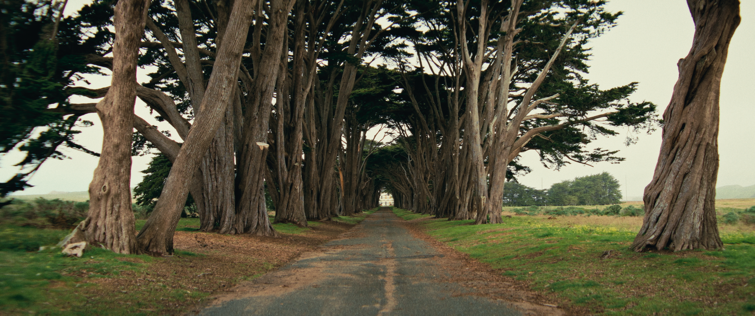 Final StillsSF_1.25.1.png