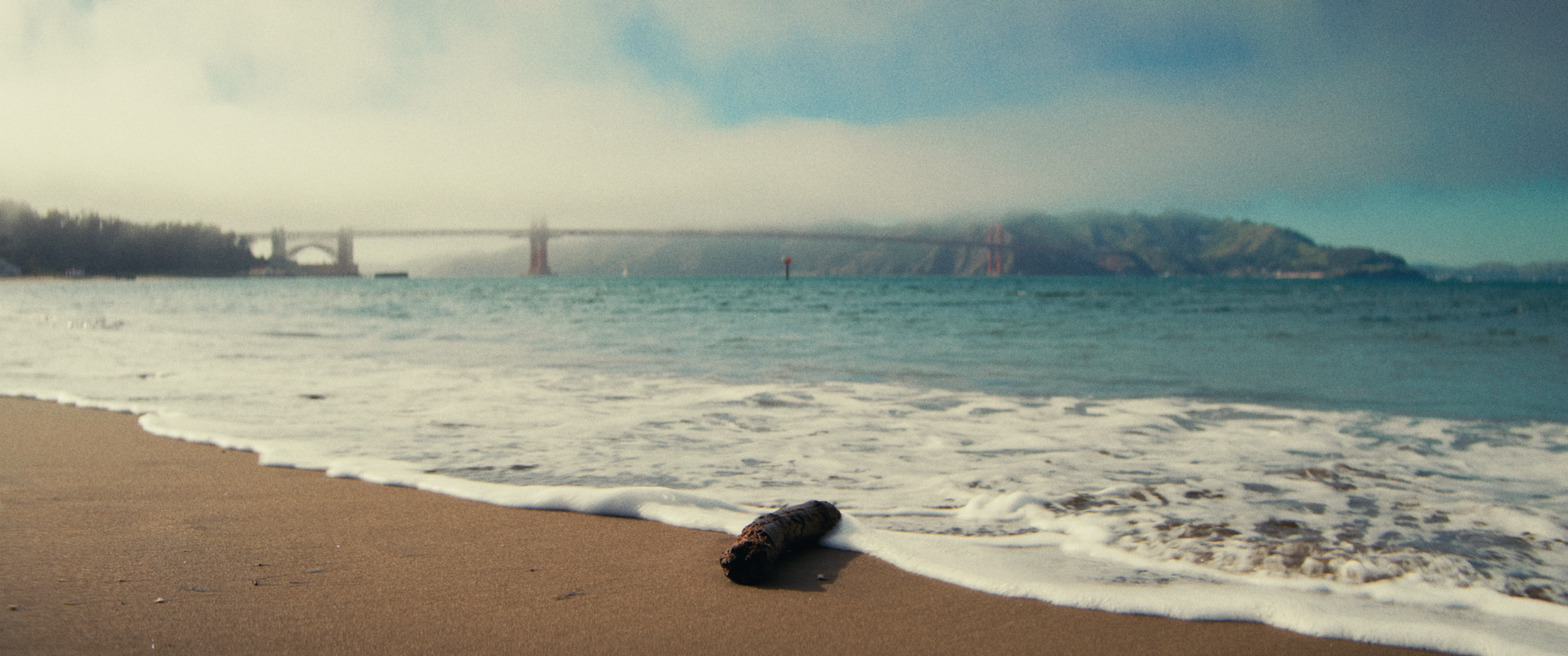 Final StillsSF_1.50.1.png