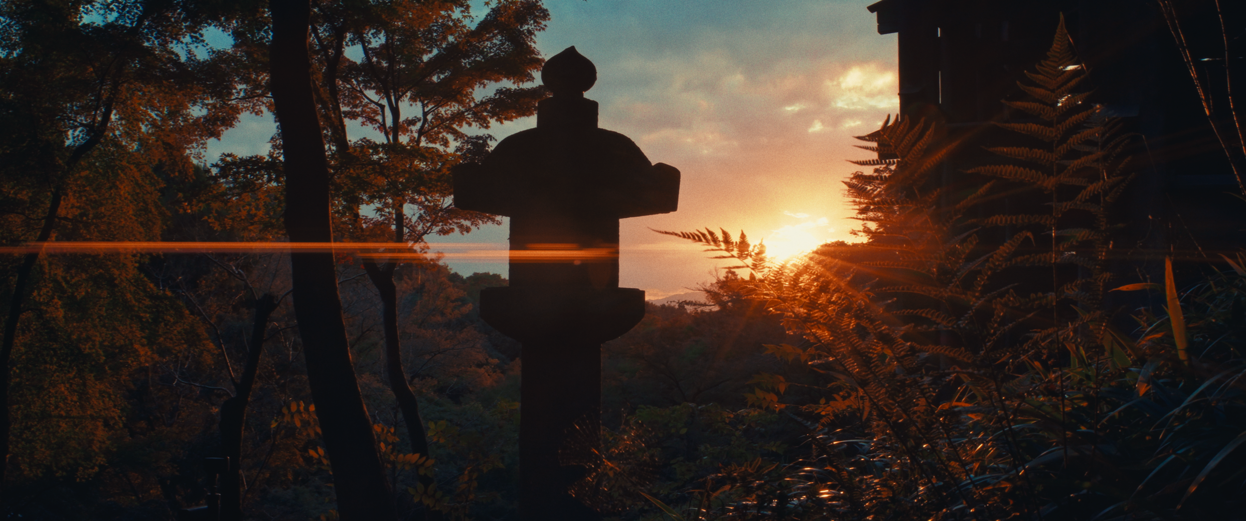 Still 2025-02-23 114031_1.56.1.png