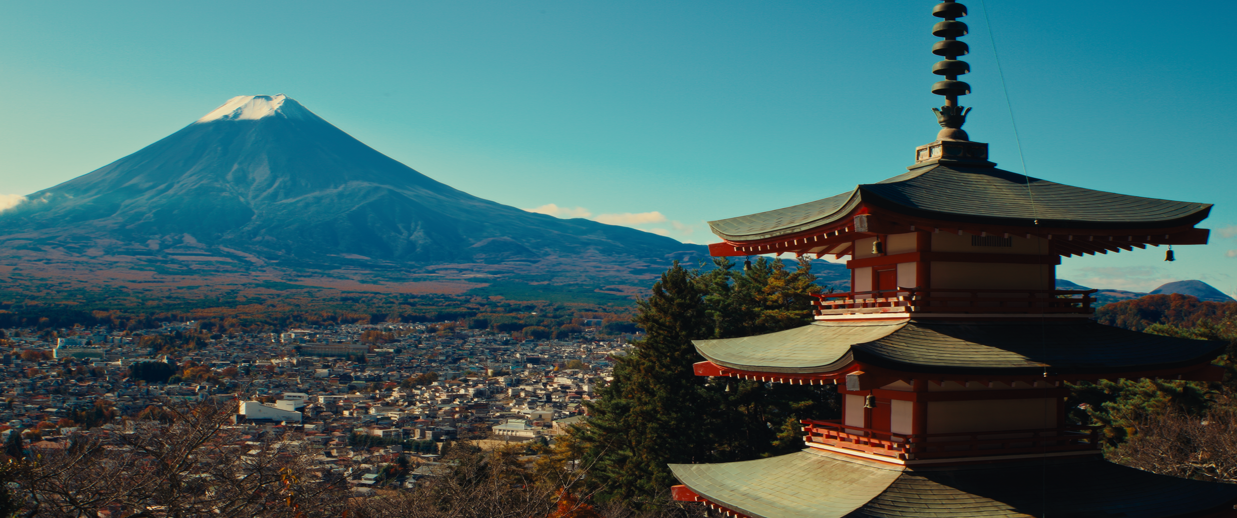 Still 2025-02-23 114031_1.41.1.png