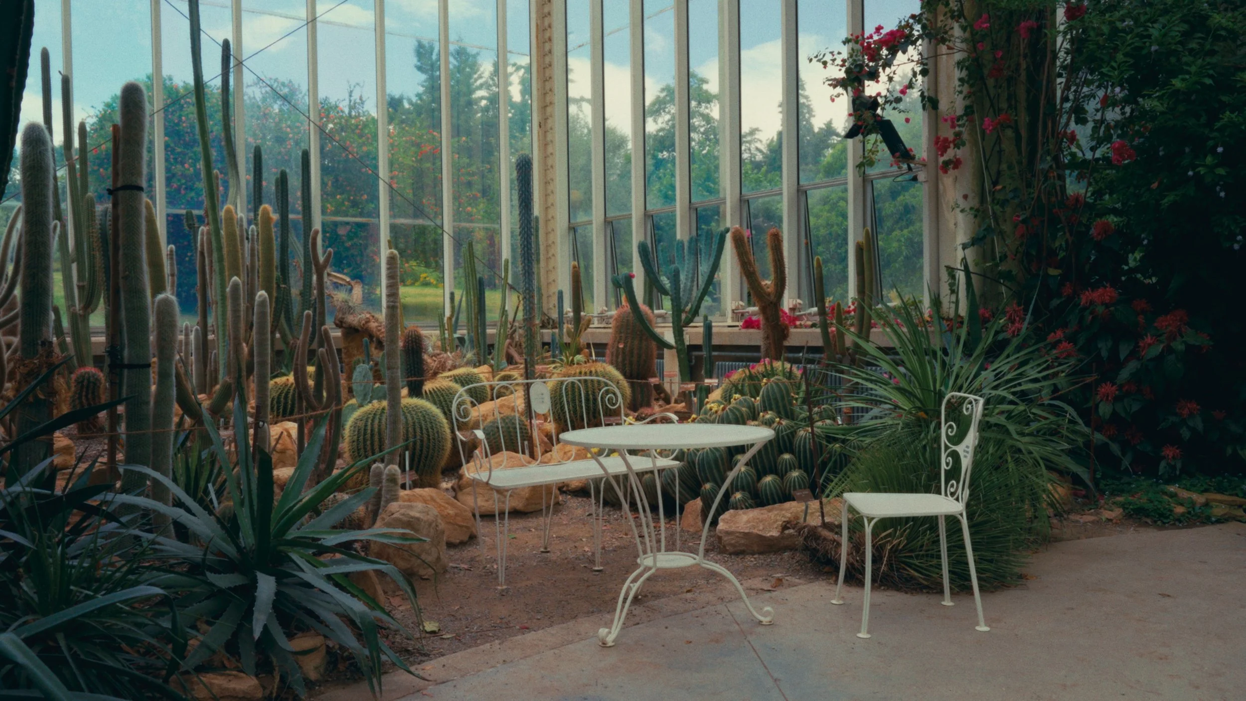 Still 2025-02-23 113120_1.25.1.png