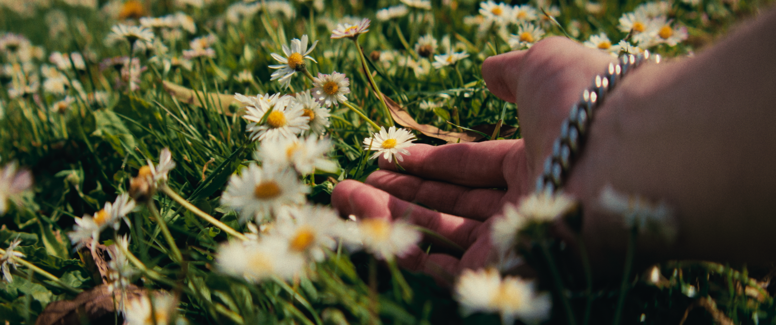 Final StillsSF_1.45.1.png