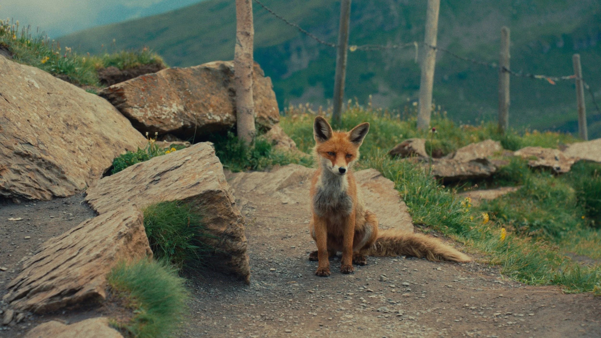 Still 2025-02-23 113120_1.296.1.png