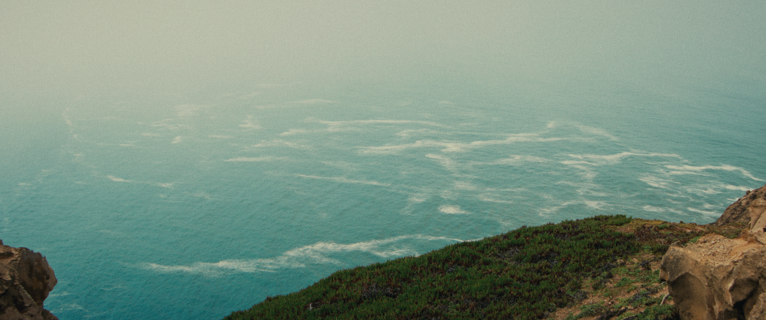 Final StillsSF_1.29.1.png