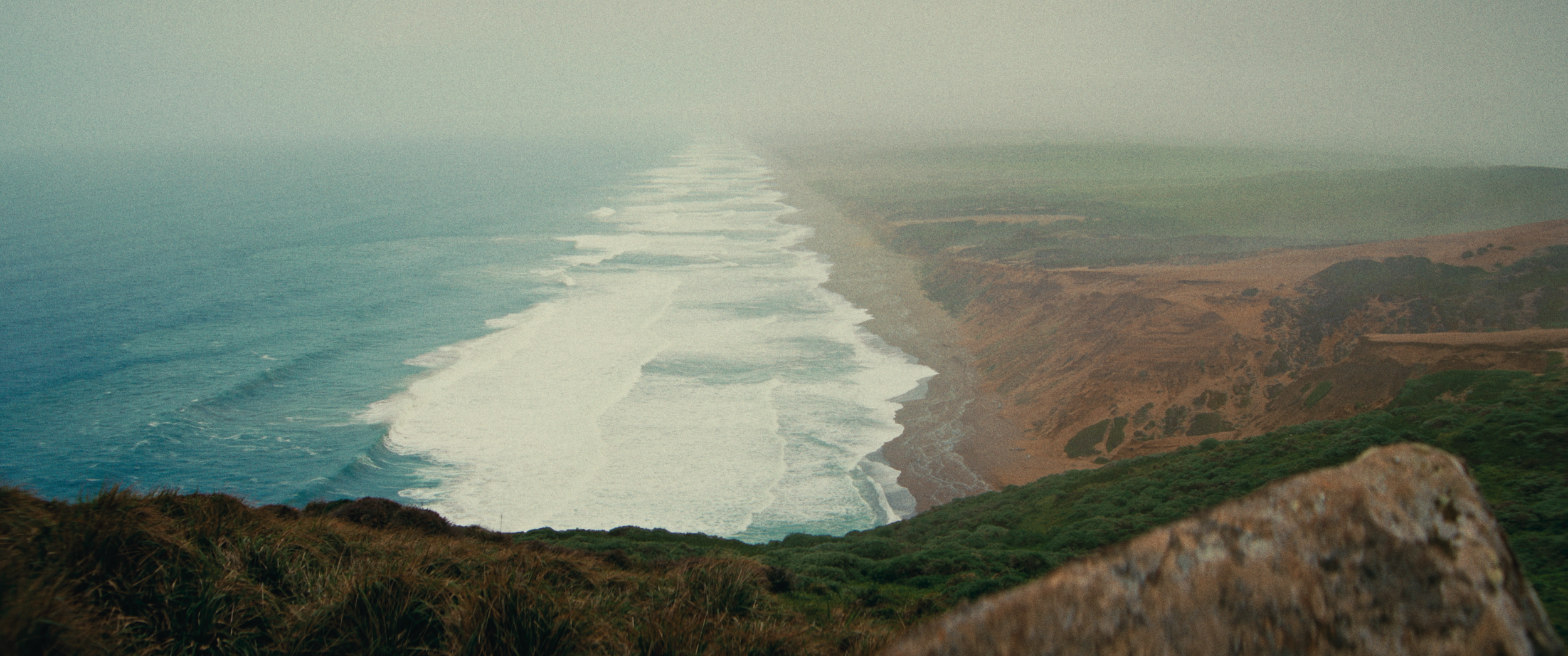 Final StillsSF_1.26.1.png