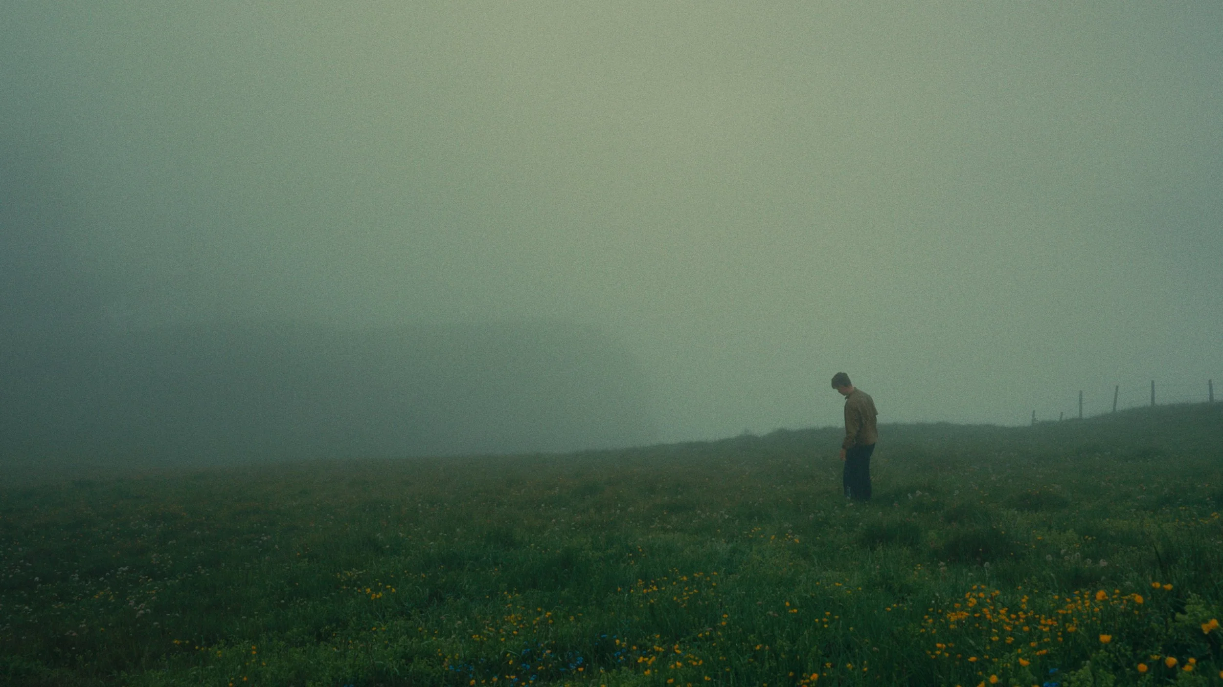 Still 2025-02-23 113120_1.273.1.png