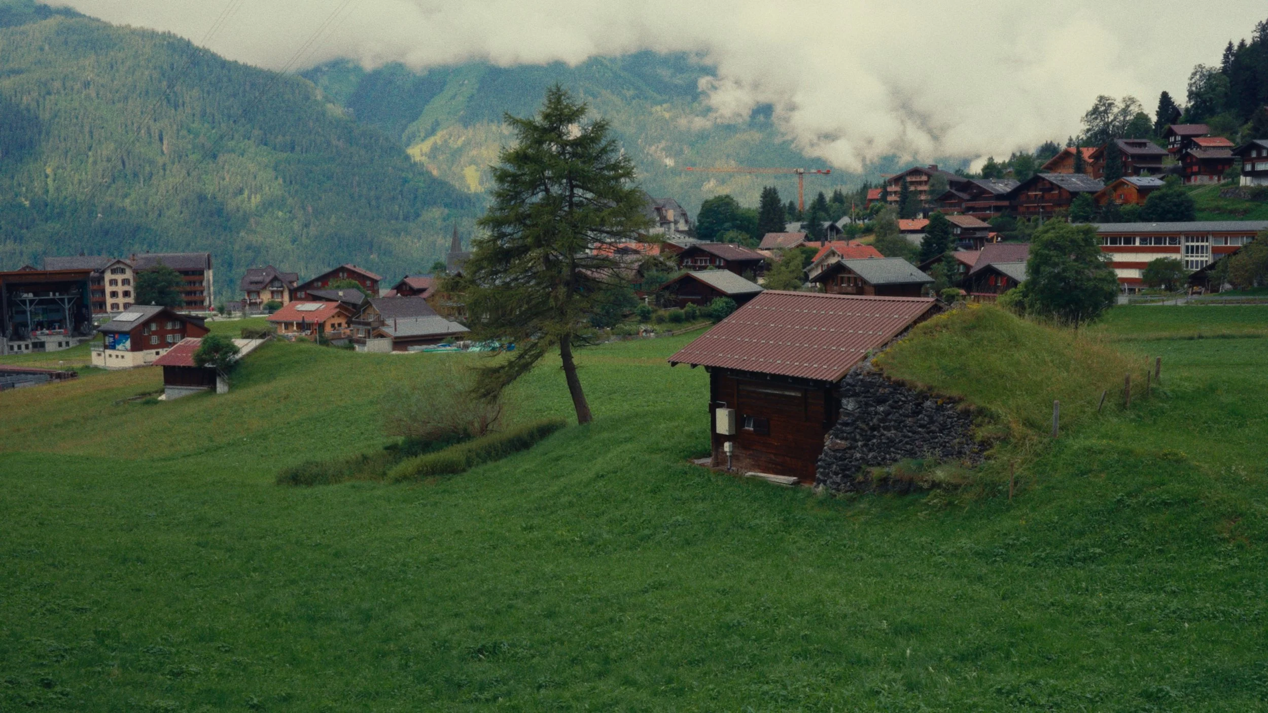 Still 2025-02-23 113120_1.271.1.png