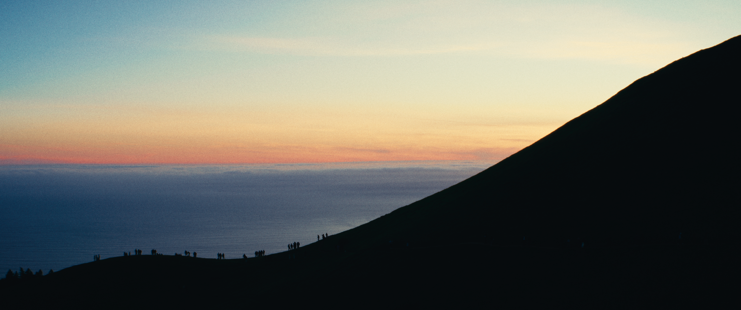 Final StillsSF_1.41.1.png