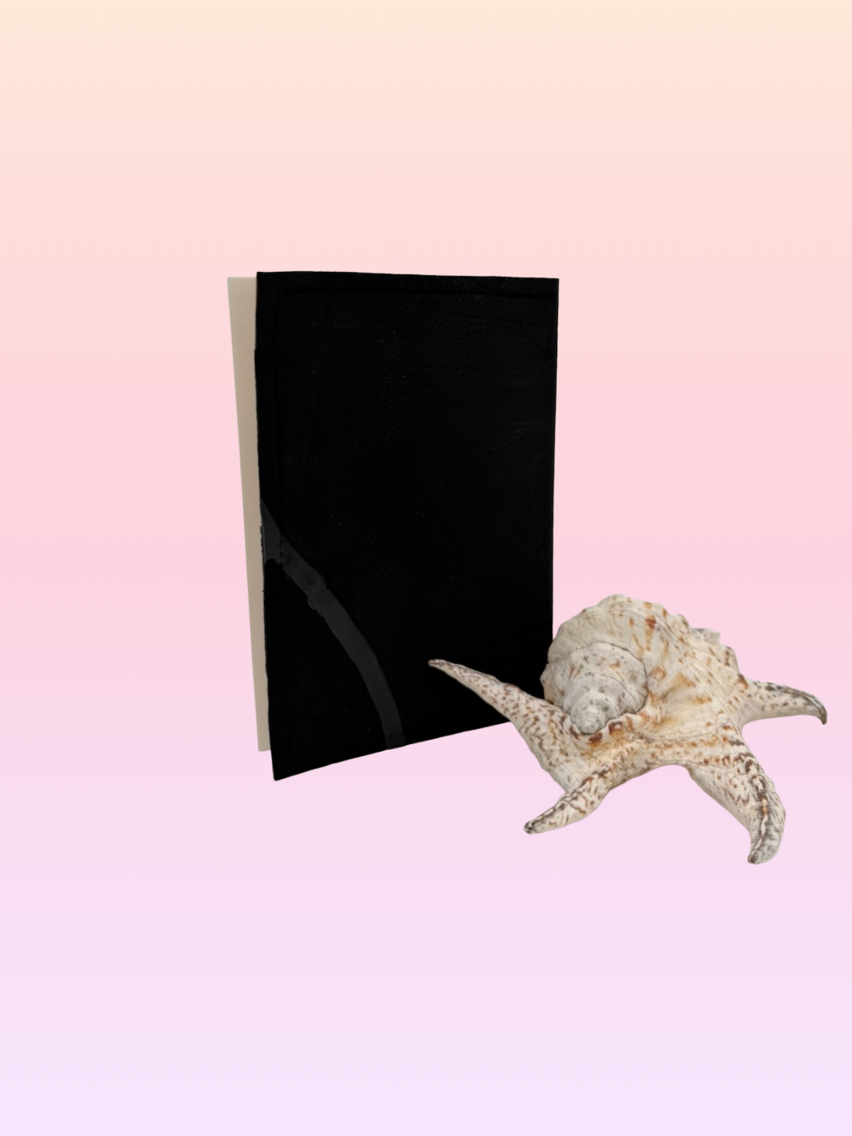 NNPC H-15-SJ blk-gry-crm A.png