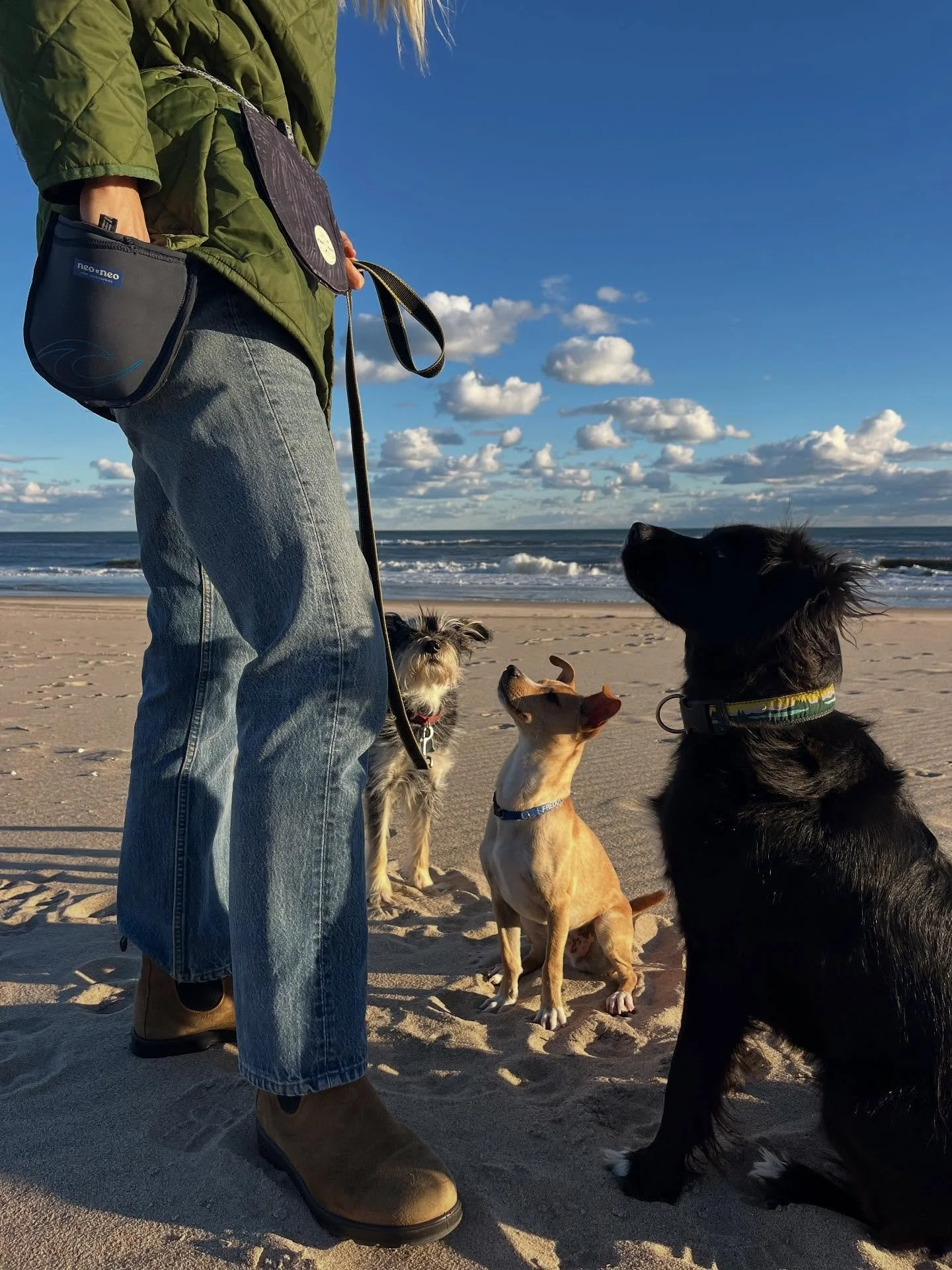 You barked and we listened. 

Introducing the WAG SAK - because these pups want to help save the planet too! 🌎

Ft. Webby, Freddy and Ralph 🐶 

Outer shell made from recycled wetsuits. 🏄🏻 
Liner made from recycled sailcloth (courtesy of @catamara