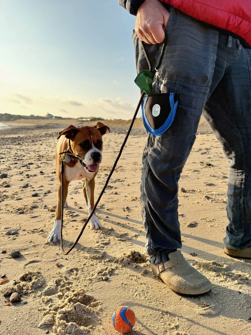 mini wag + hoodoos leash editorial.jpeg (Copy) (Copy) (Copy) (Copy) (Copy) (Copy)