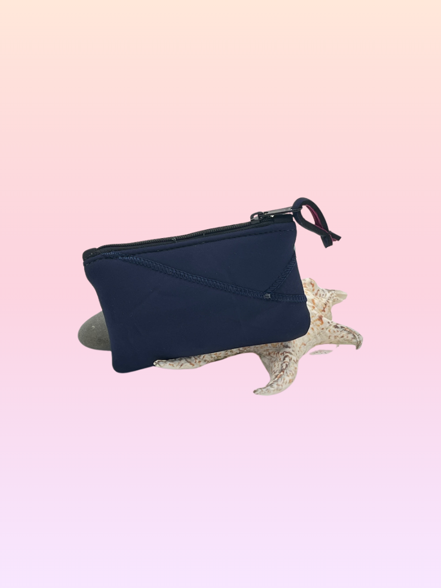 Mini Back 1.png