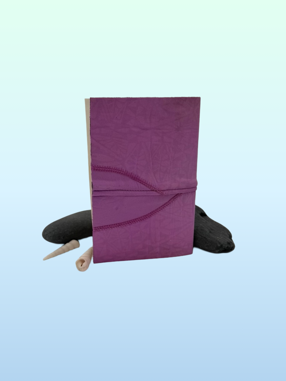 NNPC H-6-SJ rasberry B.png